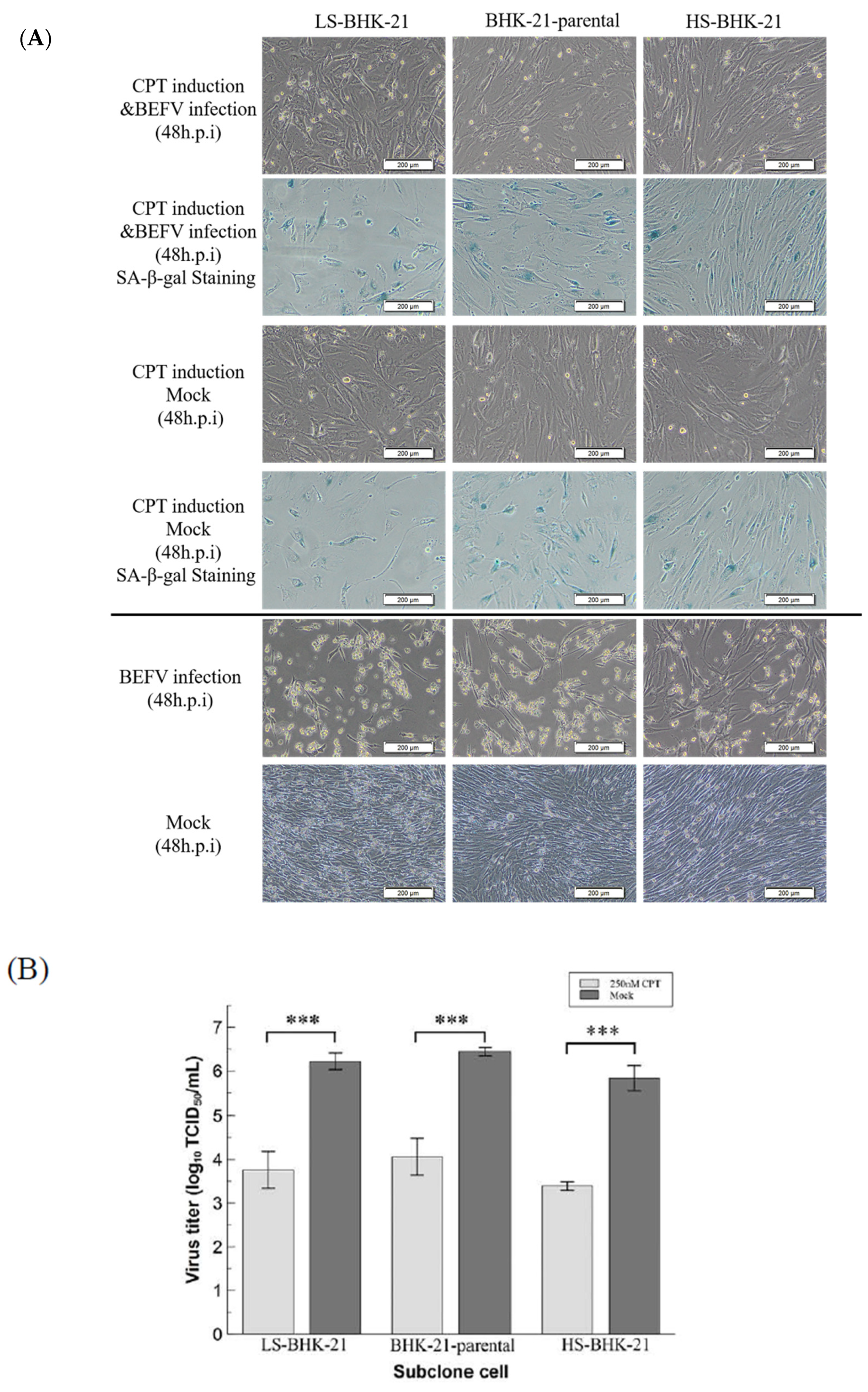 Vaccines 09 00601 g005 Vaccines 09 00601 g005