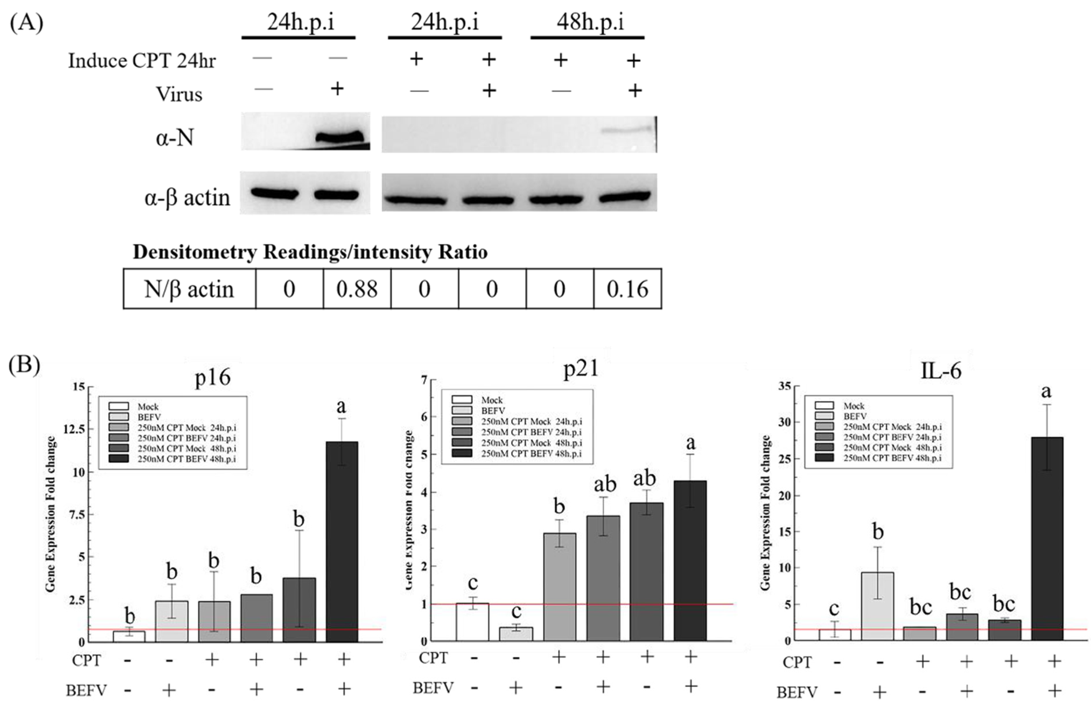 Vaccines 09 00601 g006 Vaccines 09 00601 g006