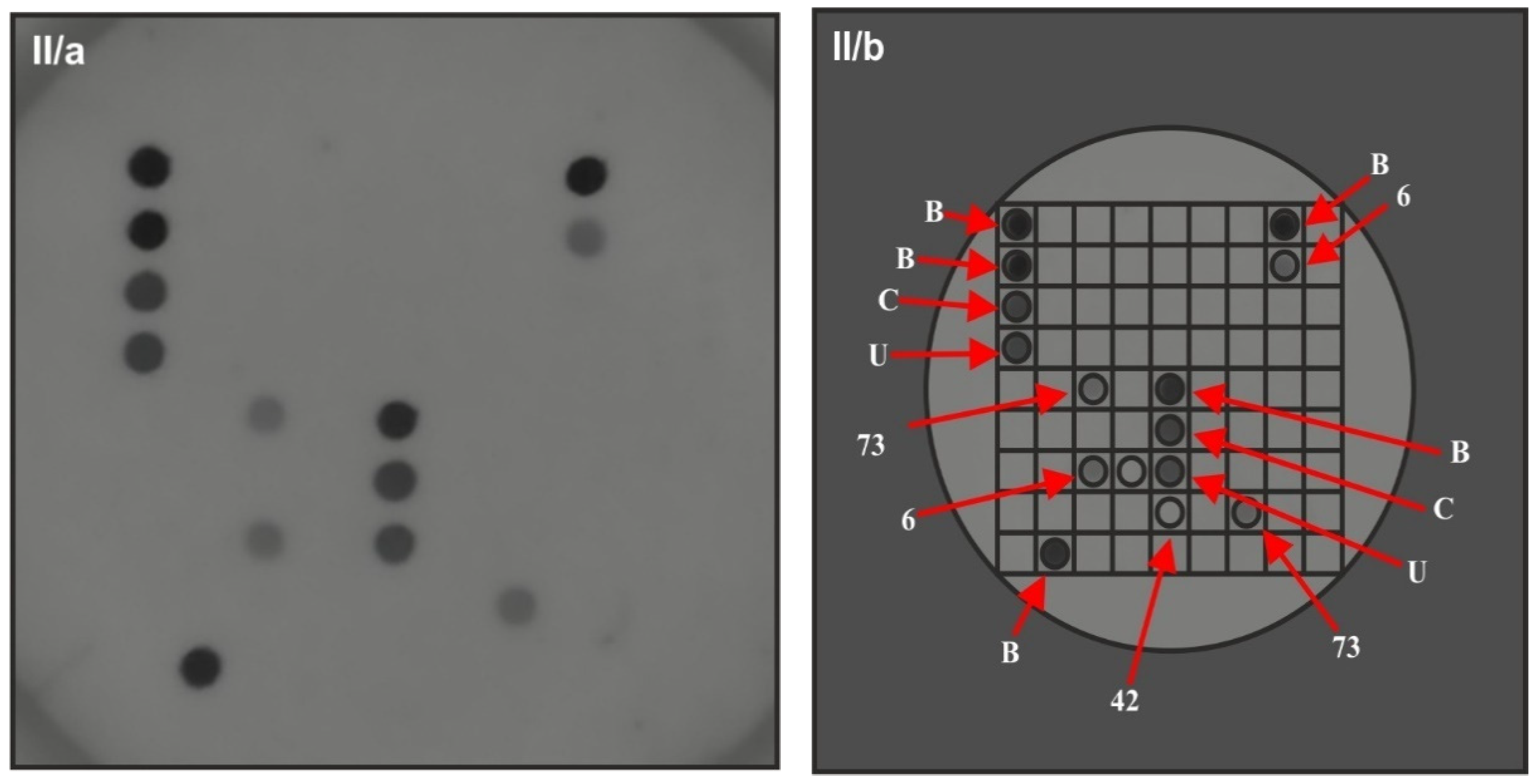 Vaccines 09 00604 g002b