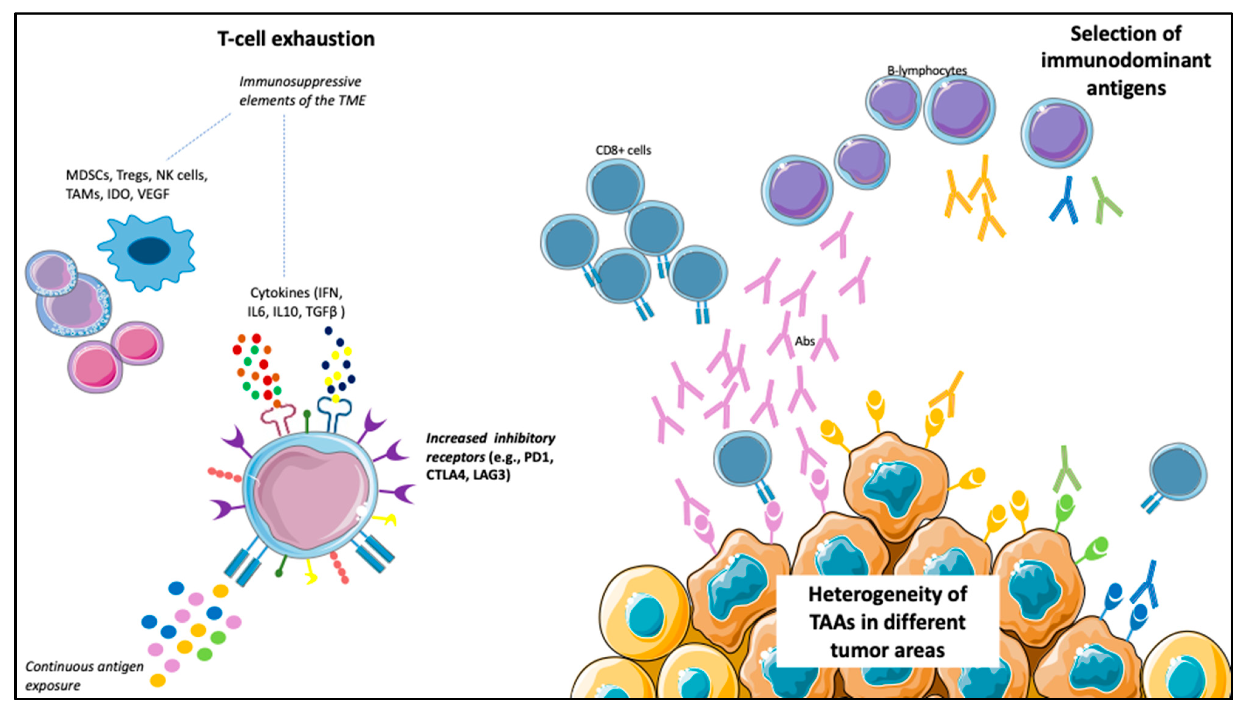 Vaccines 09 00623 g002