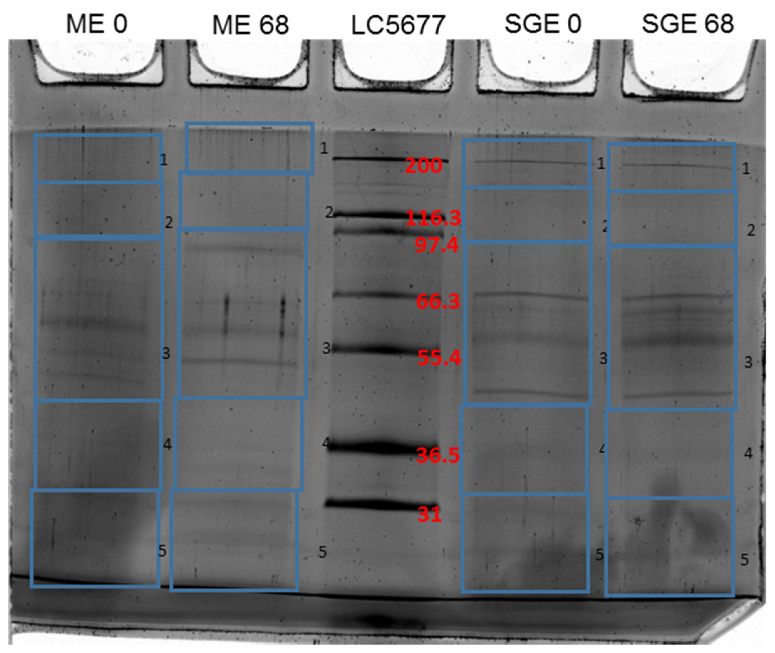 Vaccines 09 00636 g001 Vaccines 09 00636 g001