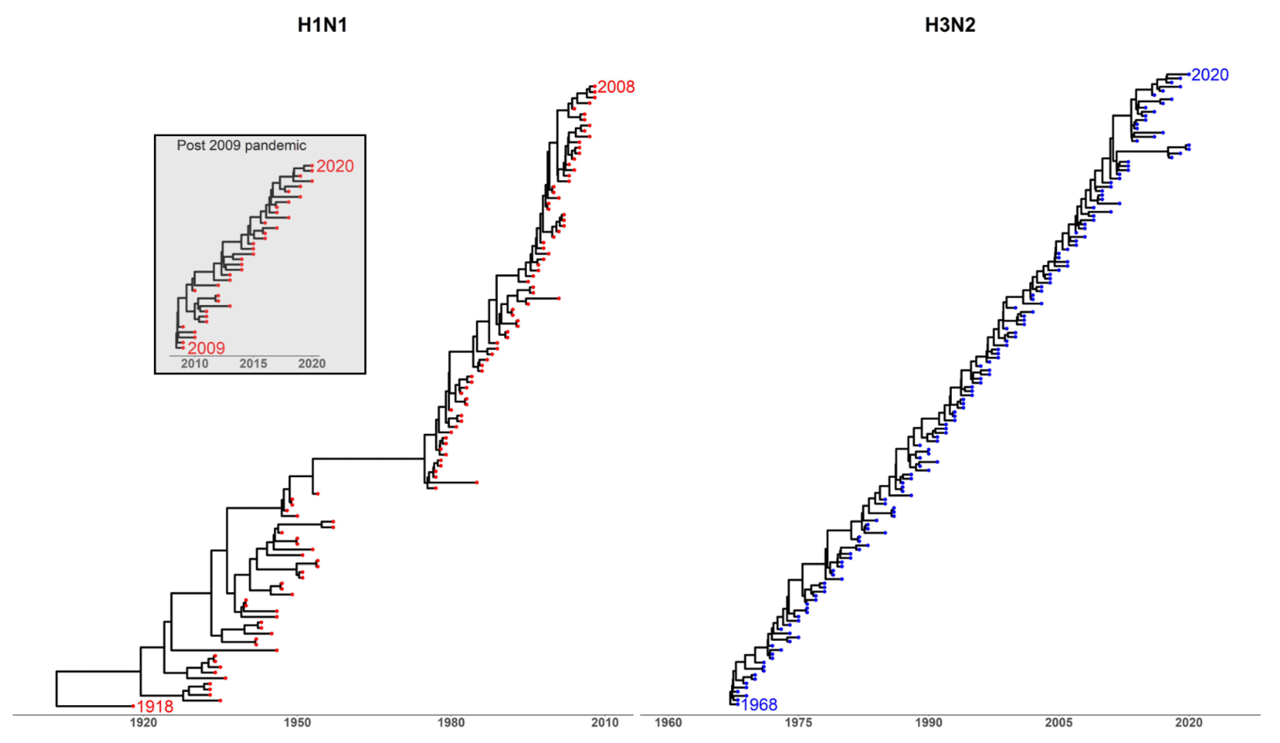 Vaccines 09 00657 g001