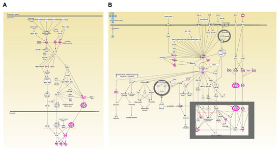 Vaccines 09 00664 g0a5