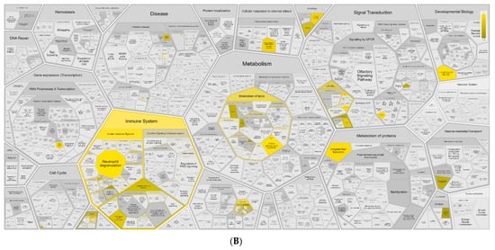 Vaccines 09 00664 g0a6b