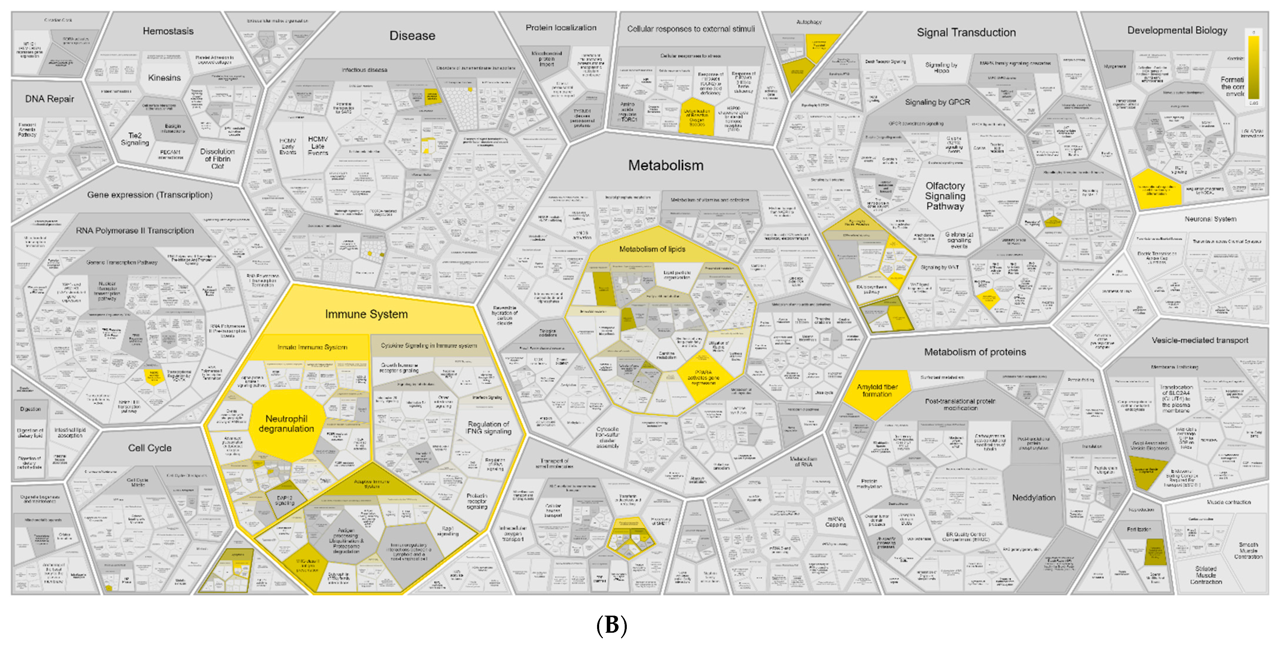 Vaccines 09 00664 g0a6b Vaccines 09 00664 g0a6b