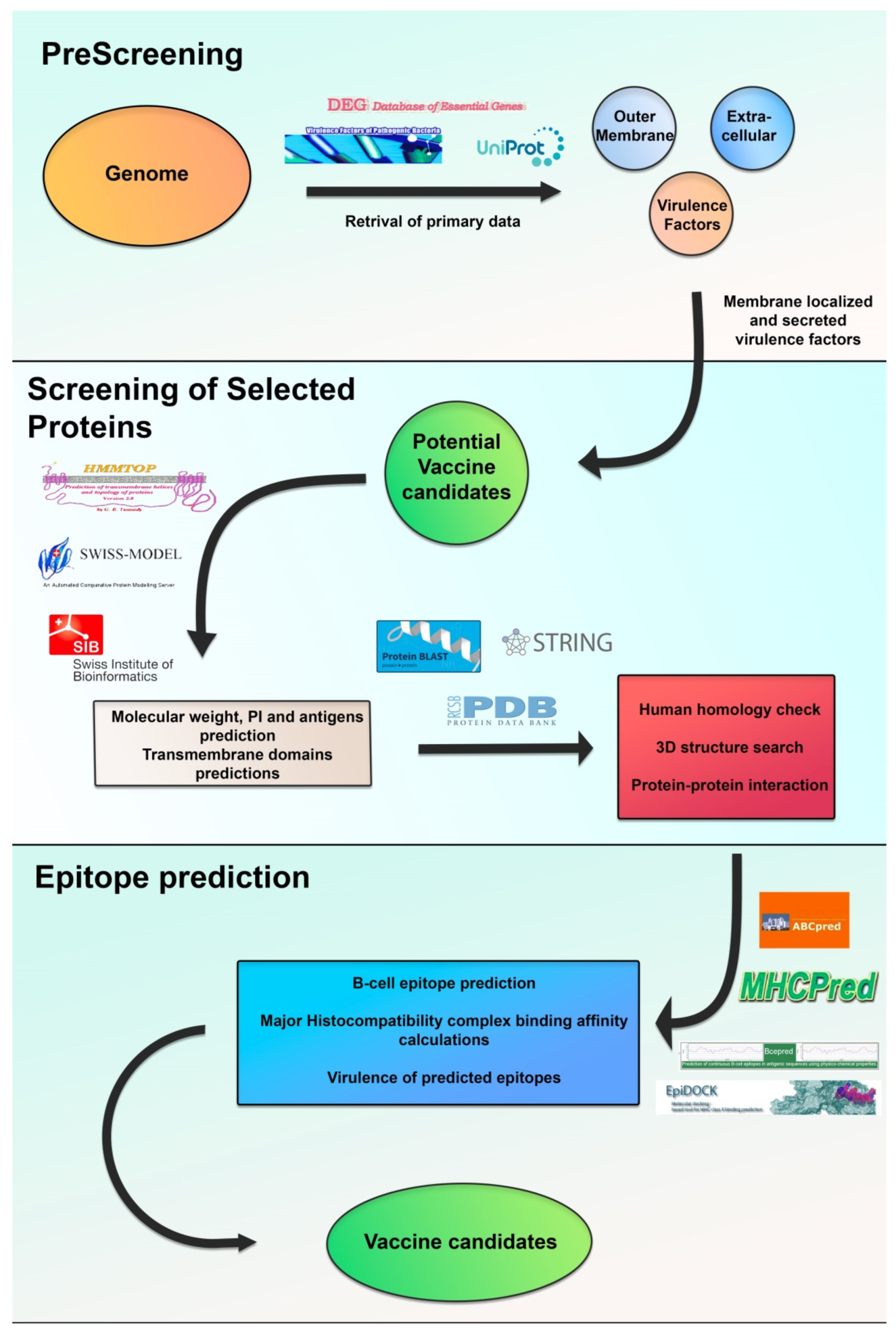 Vaccines 09 00670 g002 Vaccines 09 00670 g002