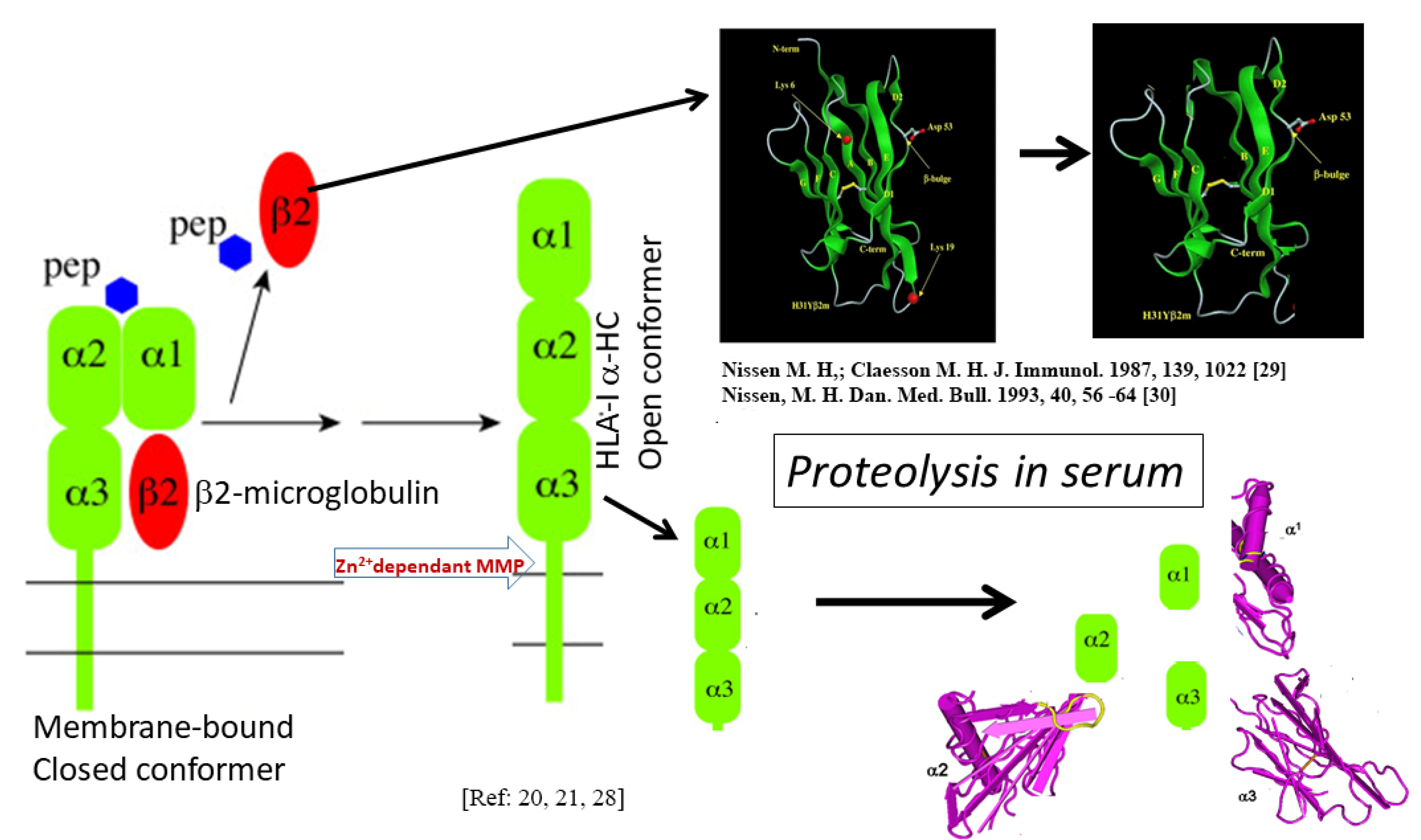Vaccines 09 00680 g003