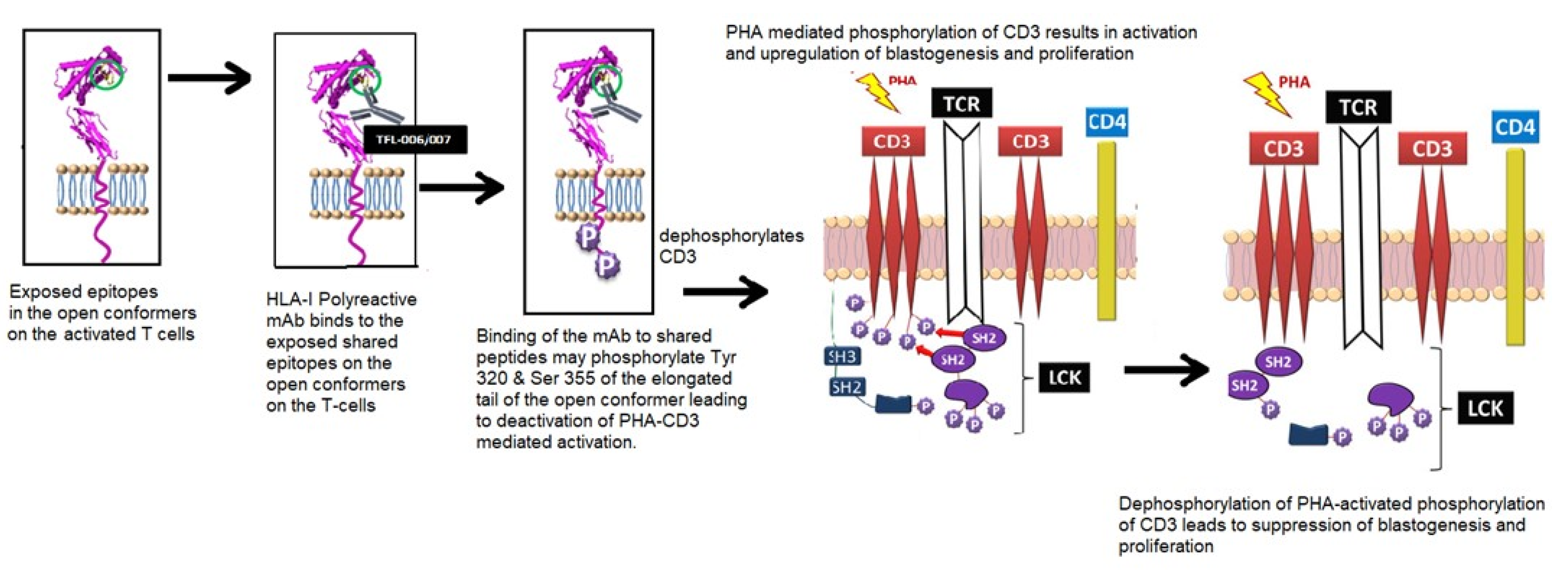 Vaccines 09 00680 g009