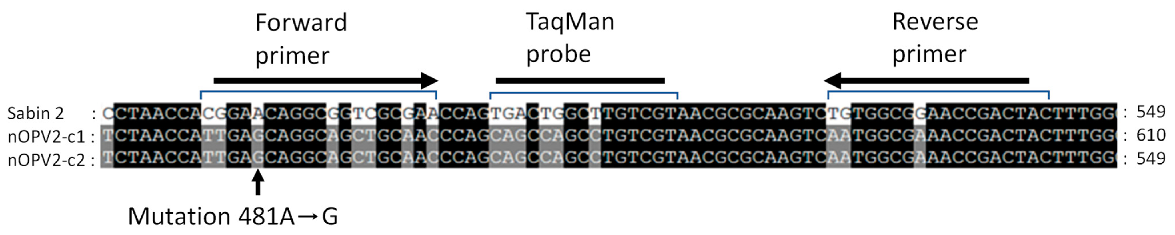 Vaccines 09 00688 g001 Vaccines 09 00688 g001