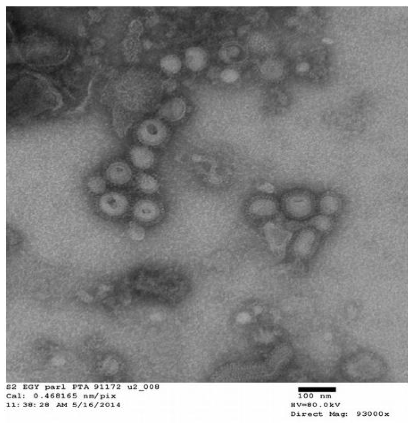 Vaccines 09 00715 g001 Vaccines 09 00715 g001