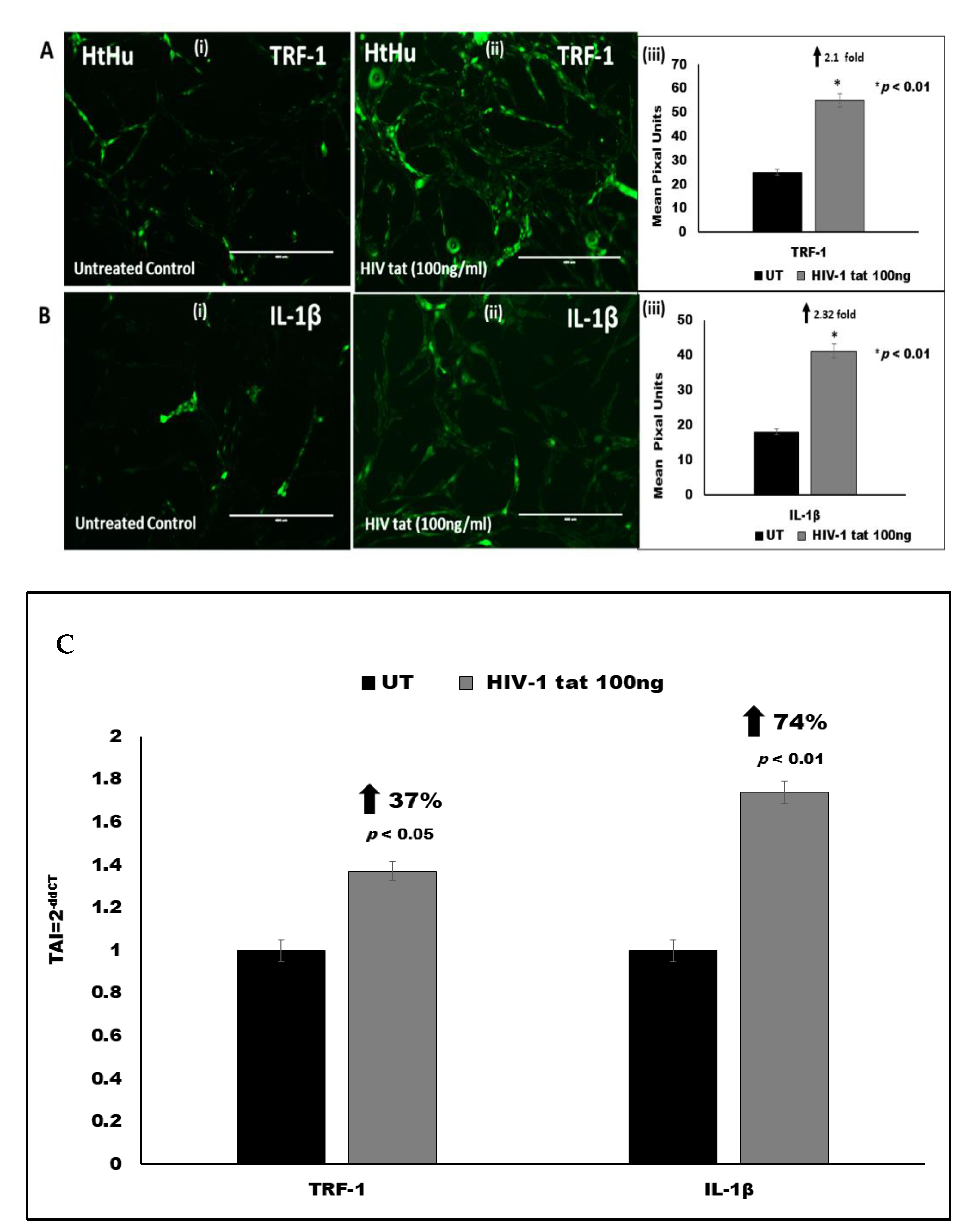 Vaccines 09 00721 g004
