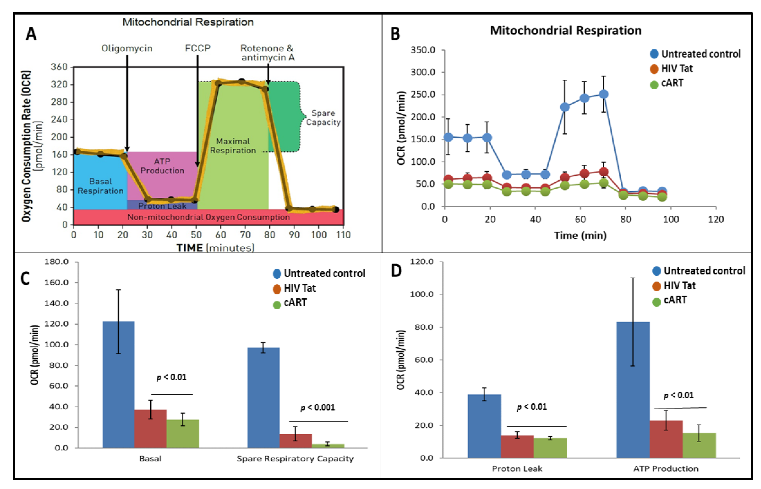 Vaccines 09 00721 g005