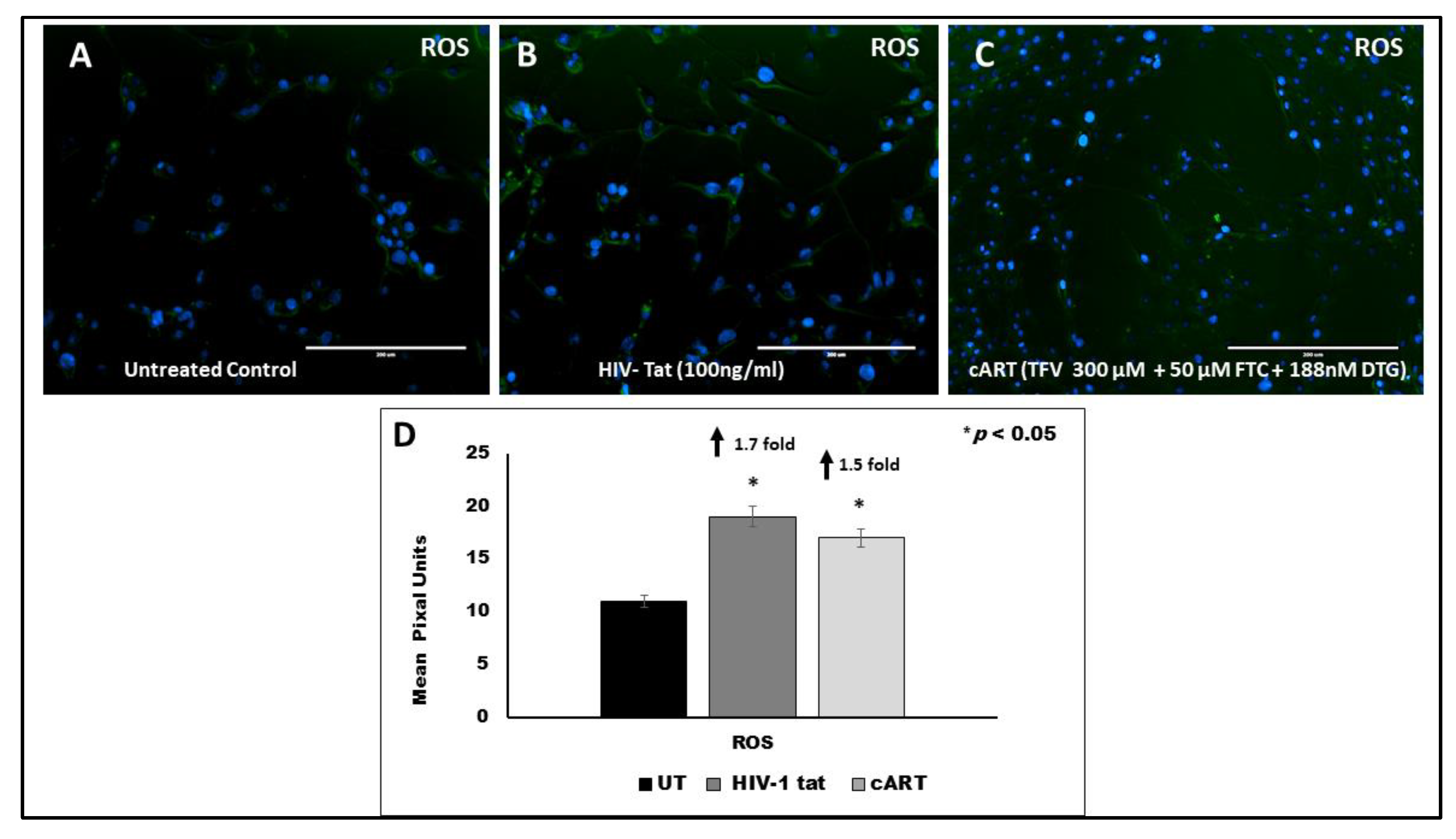 Vaccines 09 00721 g006