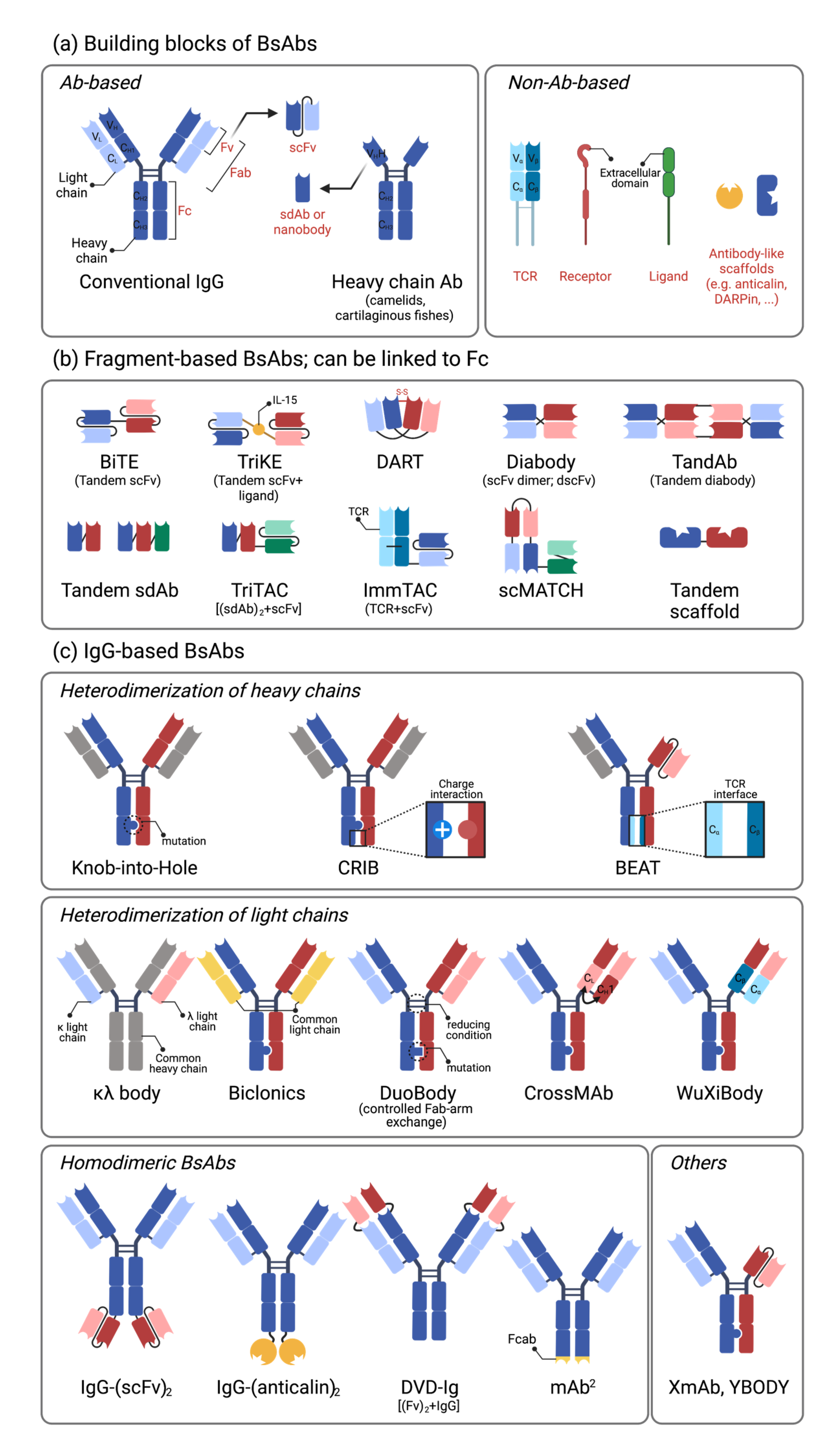 Vaccines 09 00724 g001