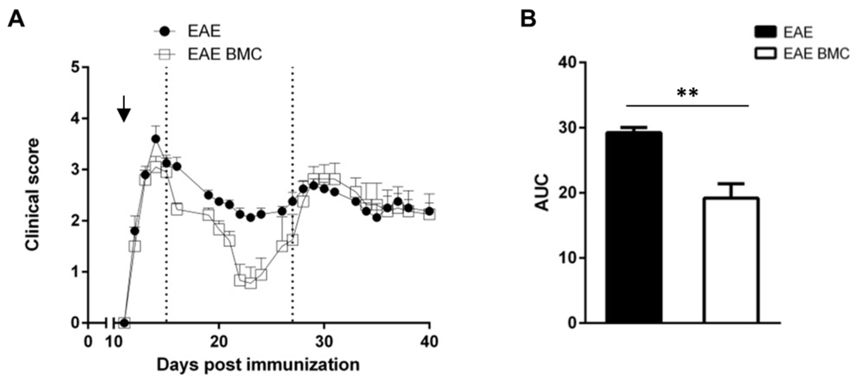 Vaccines 09 00736 g001