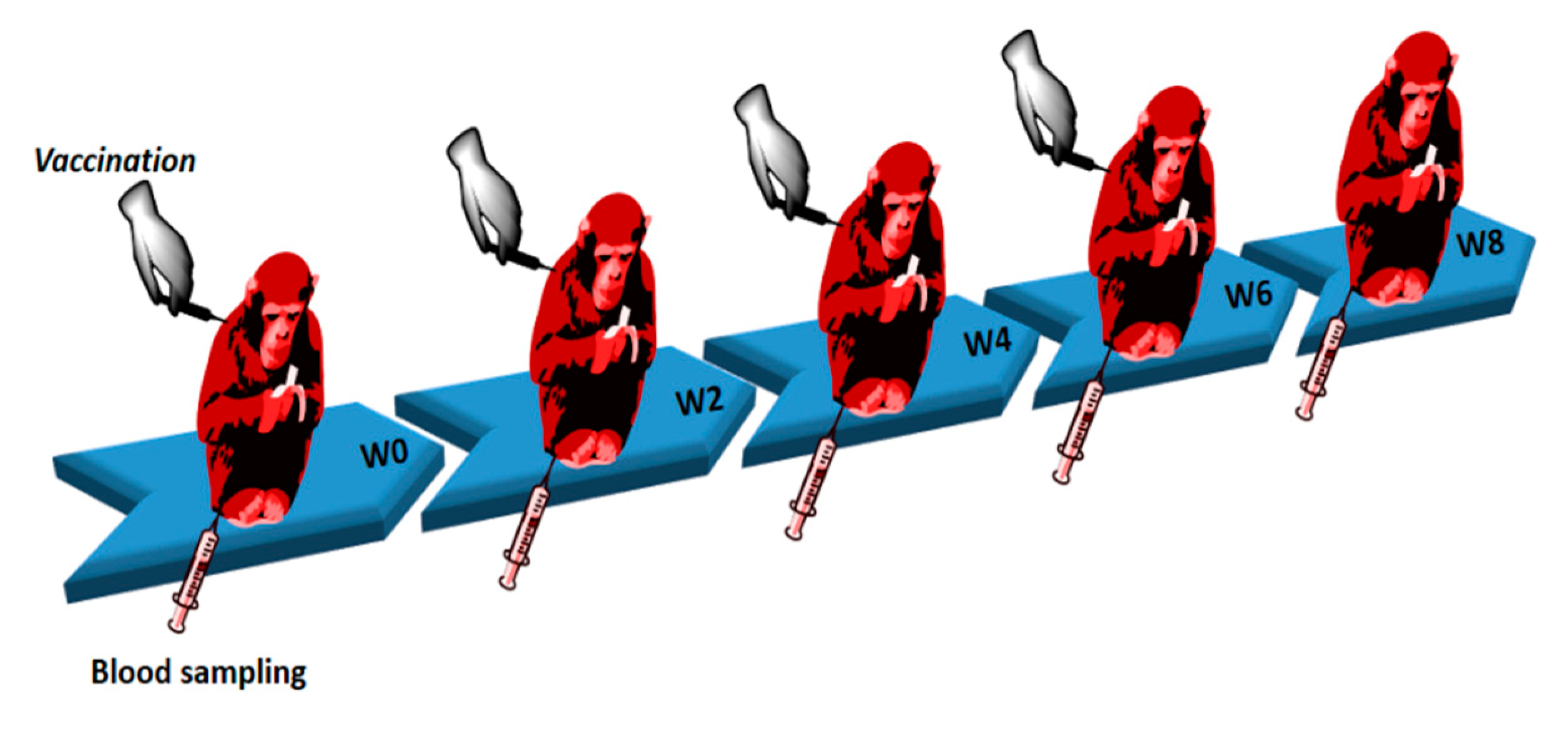 Vaccines 09 00749 g001