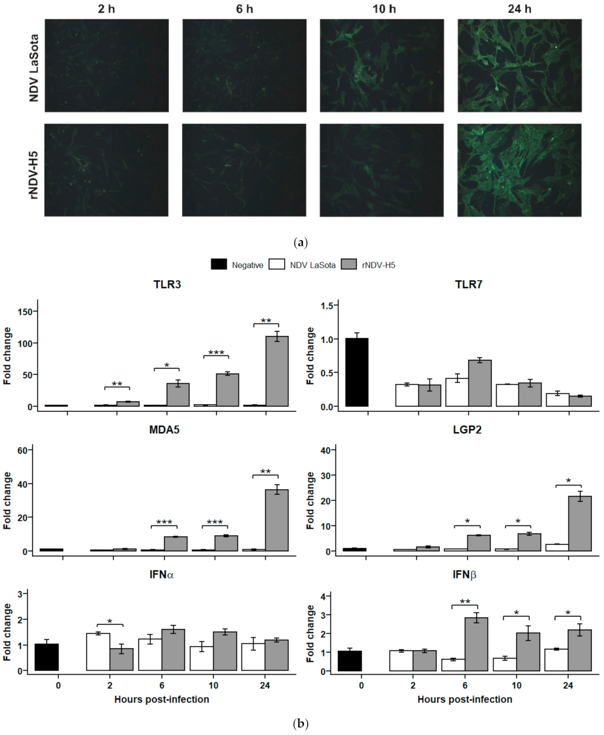 Vaccines 09 00758 g003