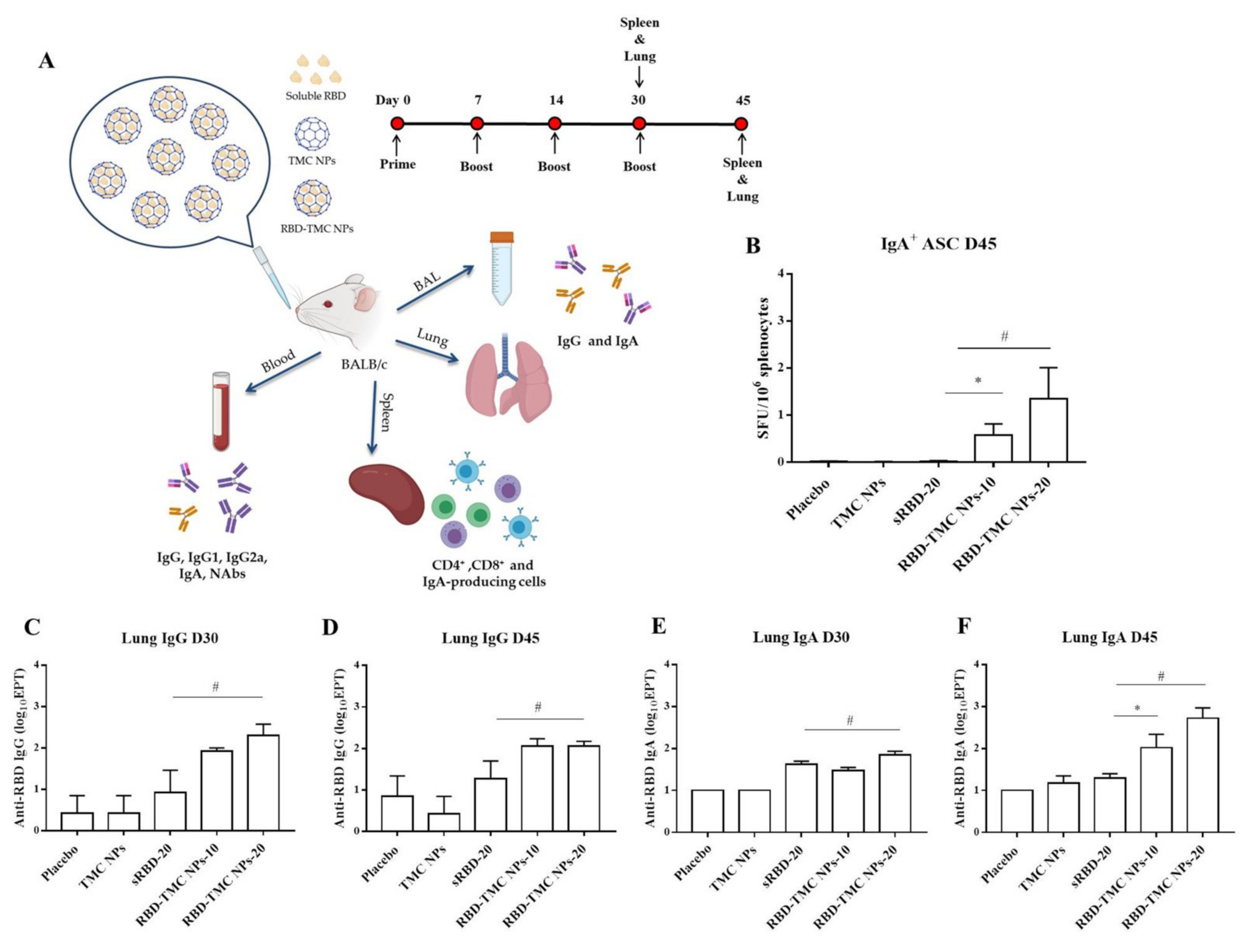 Vaccines 09 00768 g002