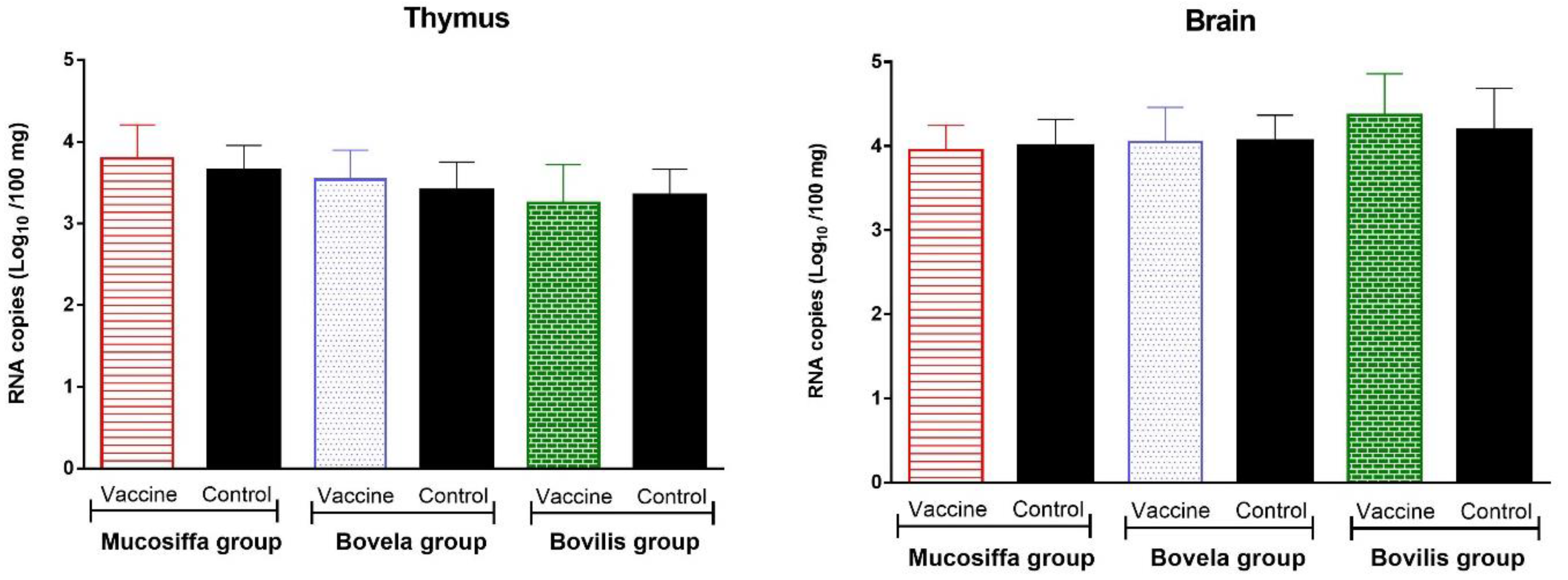 Vaccines 09 00805 g006 Vaccines 09 00805 g006