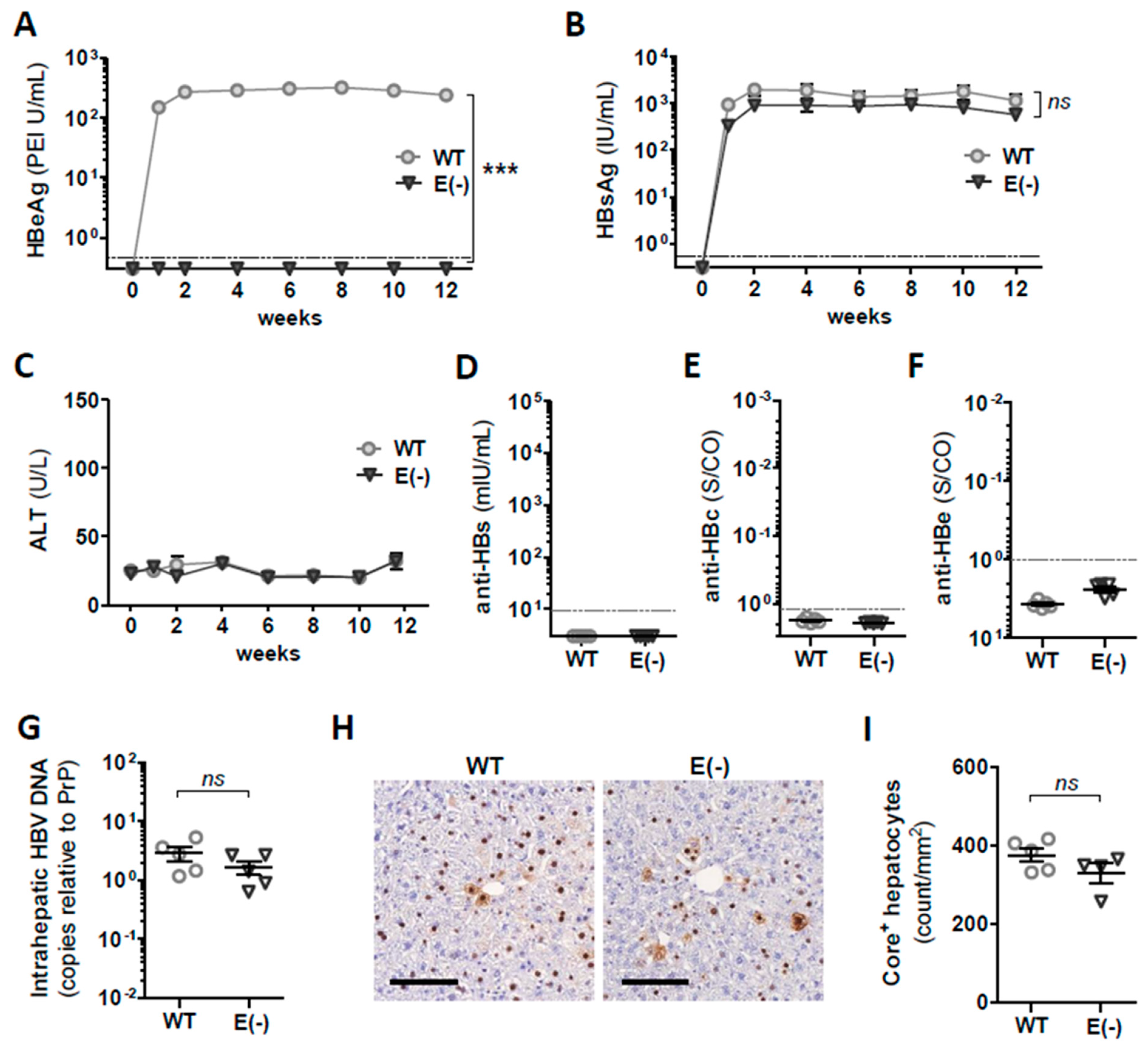 Vaccines 09 00841 g001