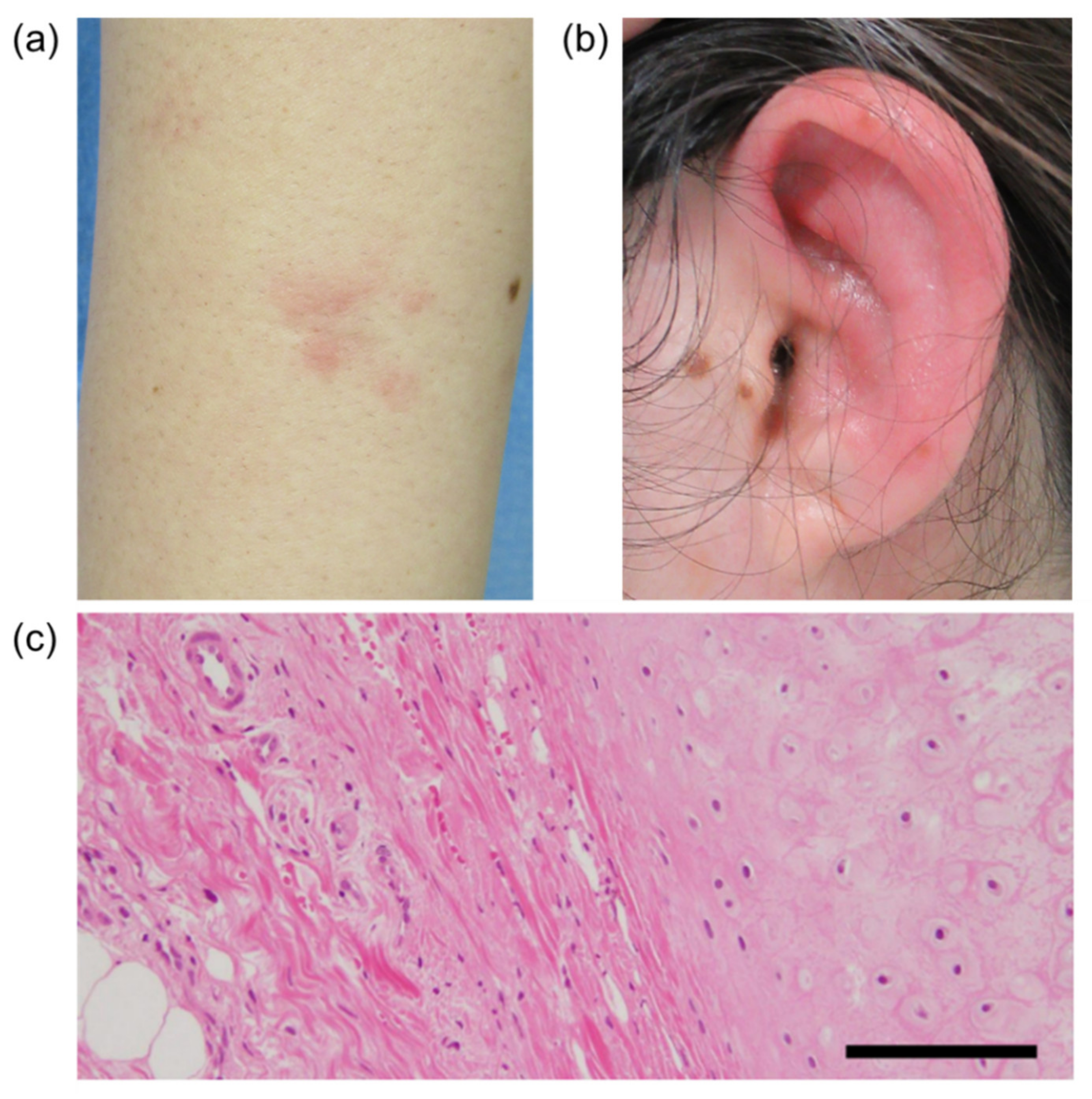 Vaccines 09 00842 g001