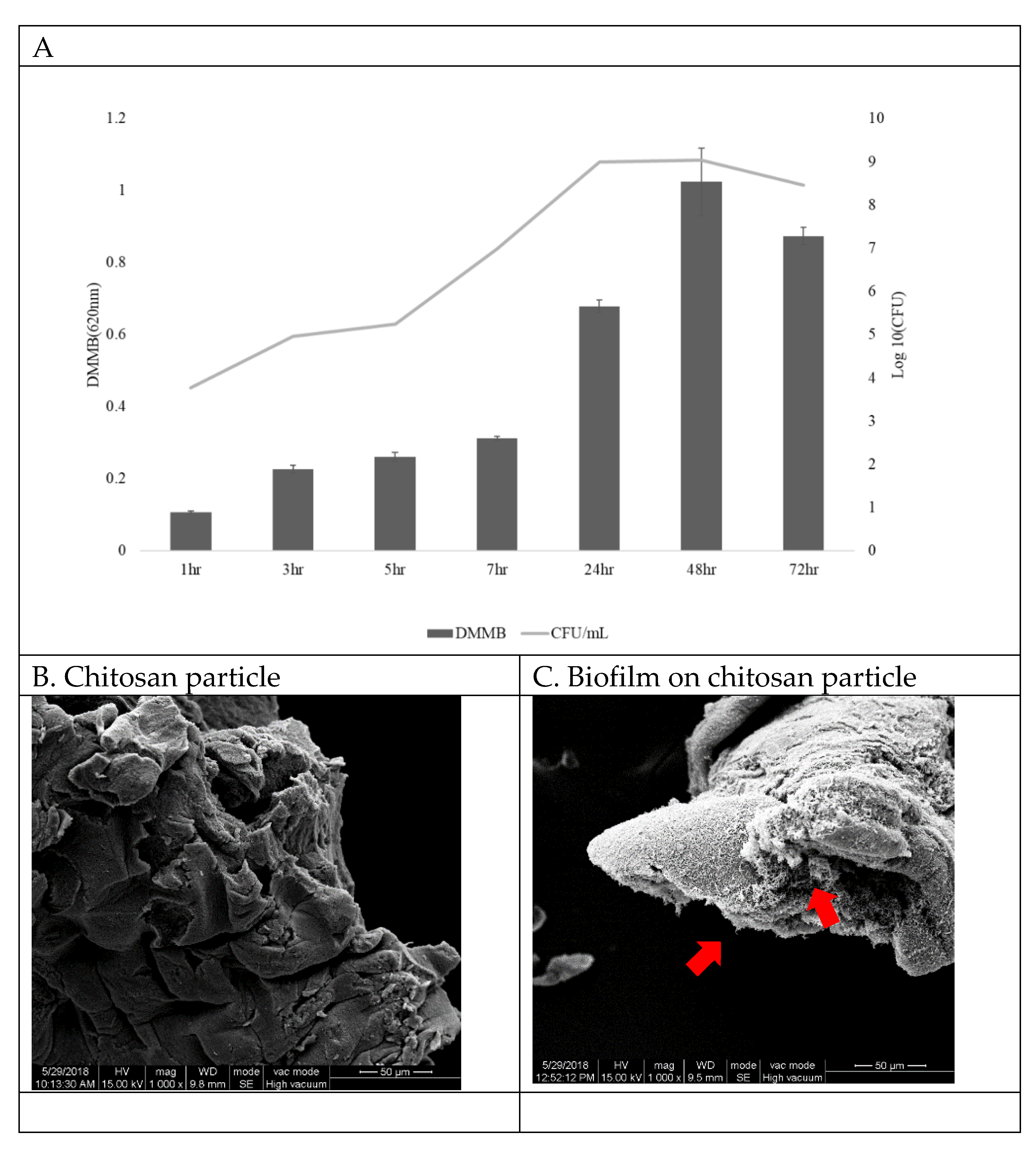 Vaccines 09 00844 g002 Vaccines 09 00844 g002