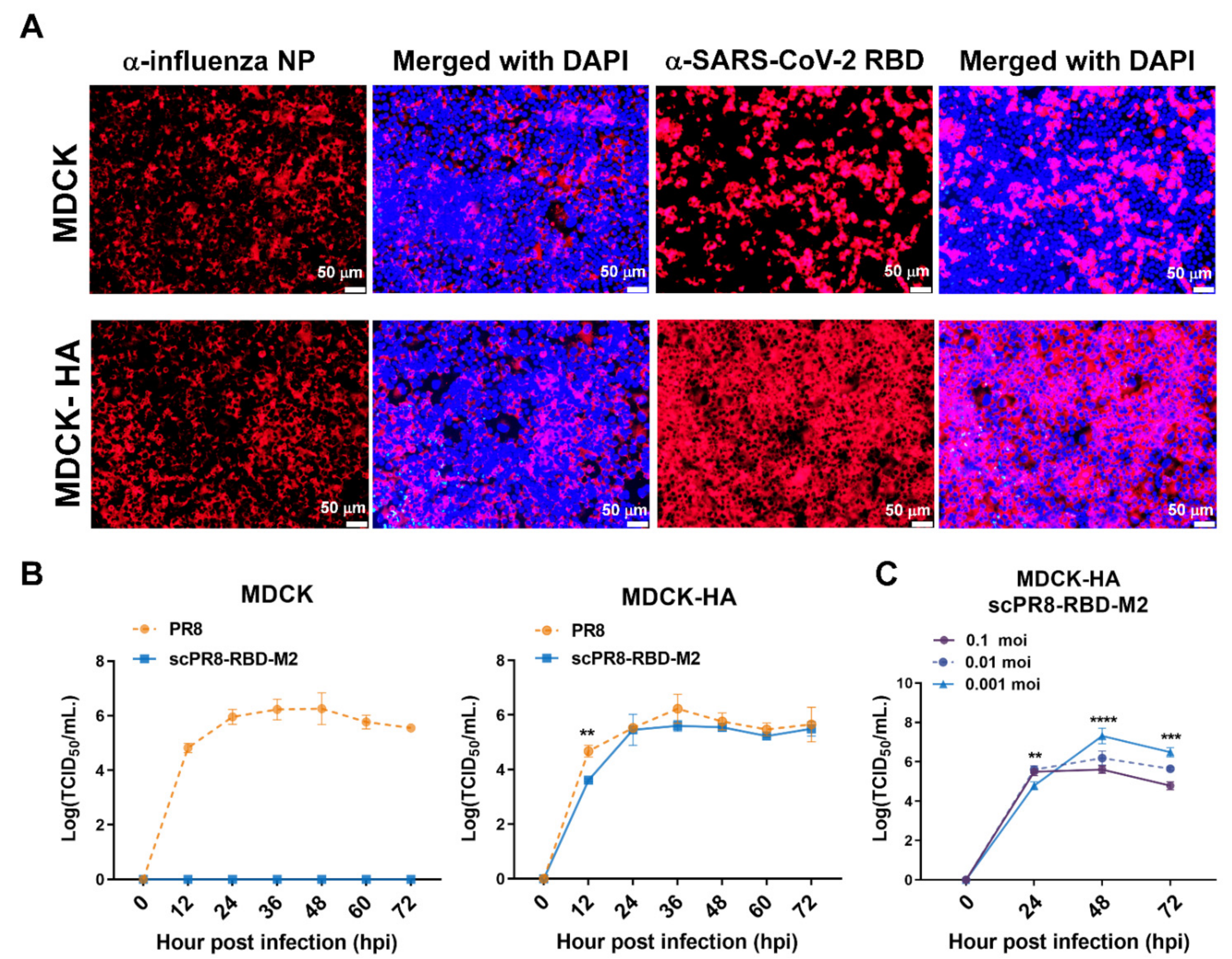 Vaccines 09 00850 g002