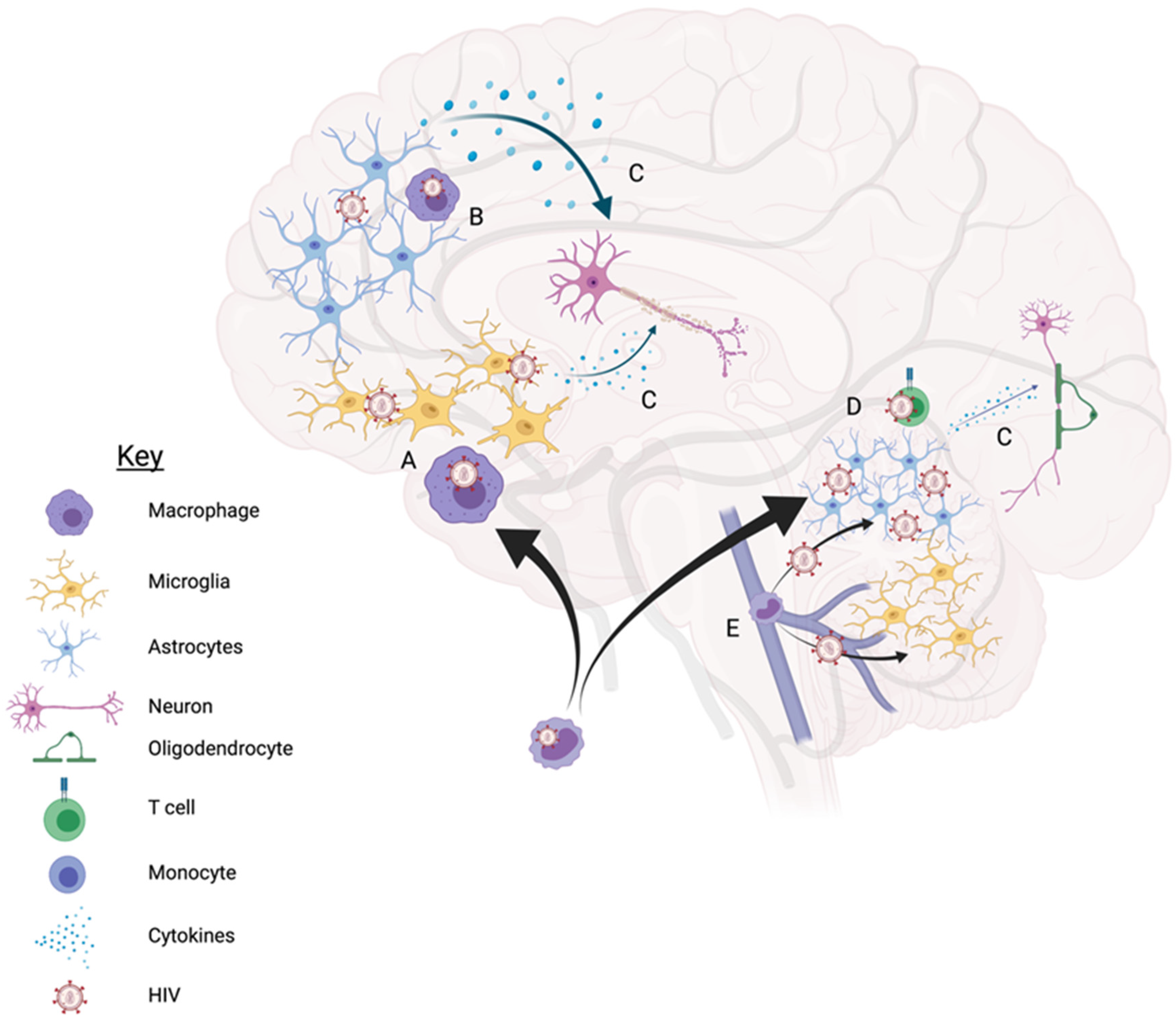 Vaccines 09 00867 g001