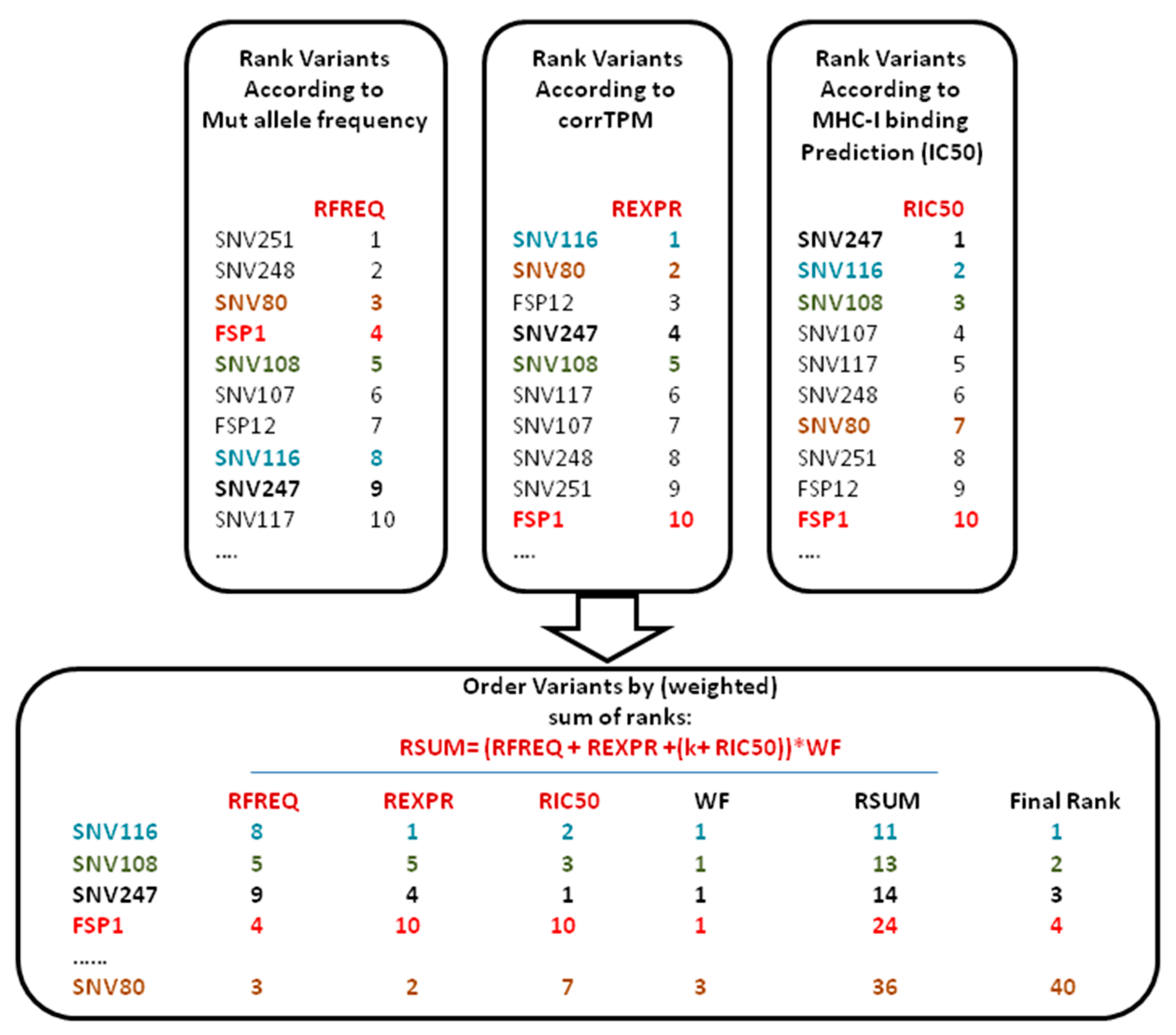 Vaccines 09 00880 g001