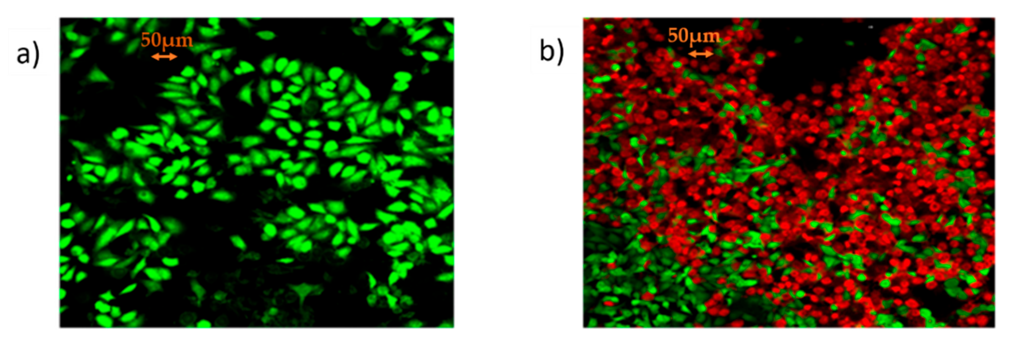 Vaccines 09 00890 g006