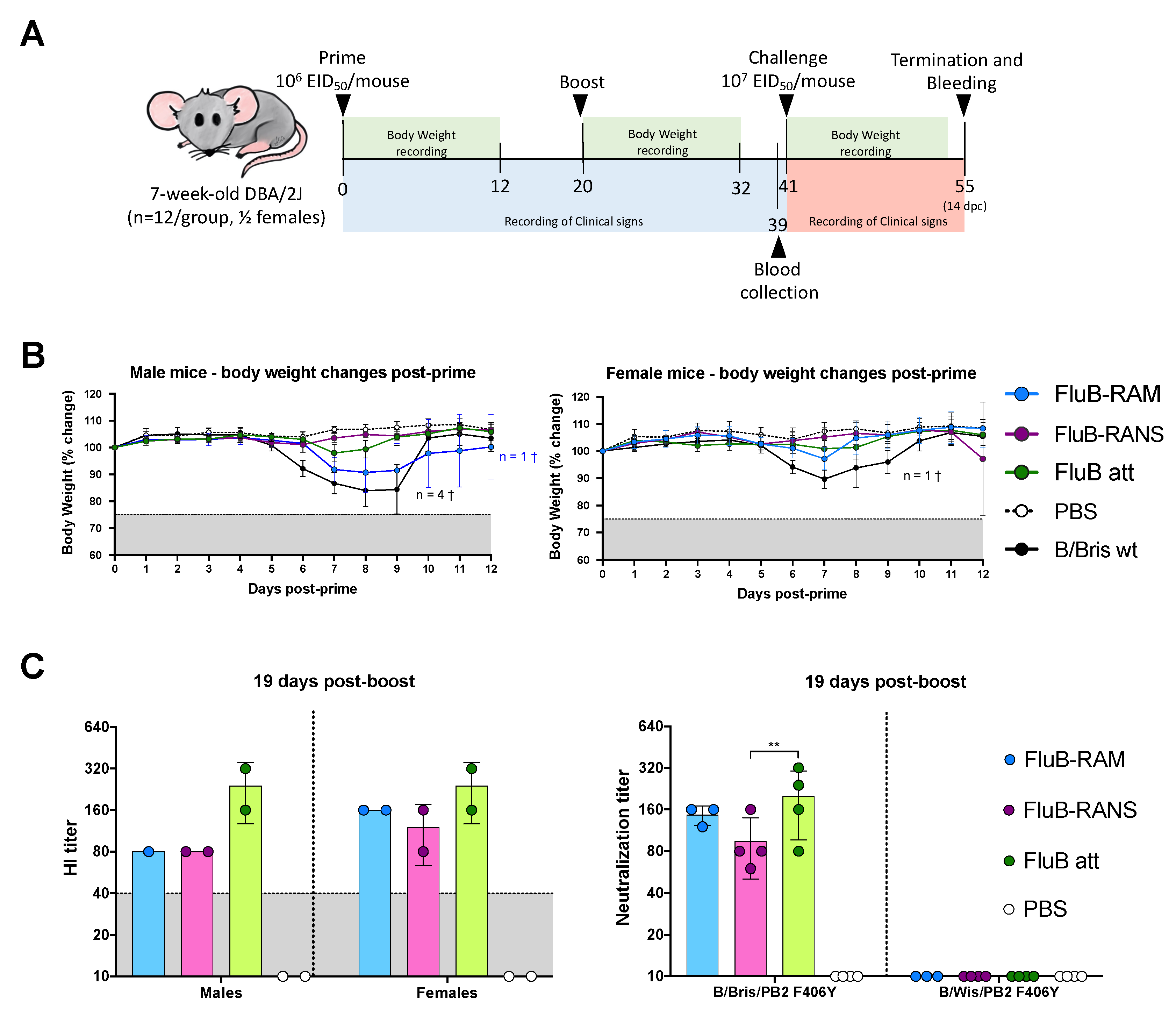 Vaccines 09 00897 g002