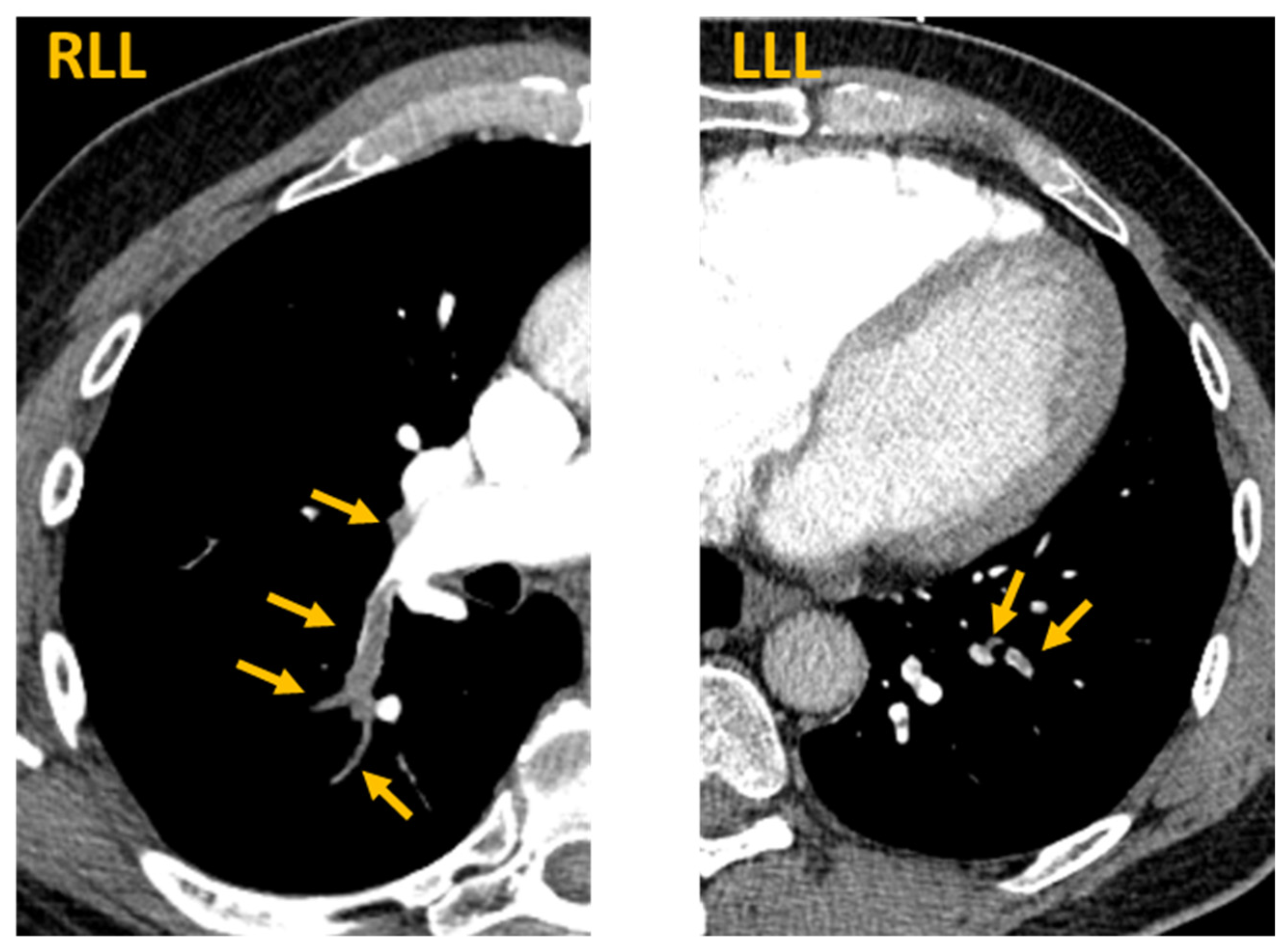 Vaccines 09 00903 g001