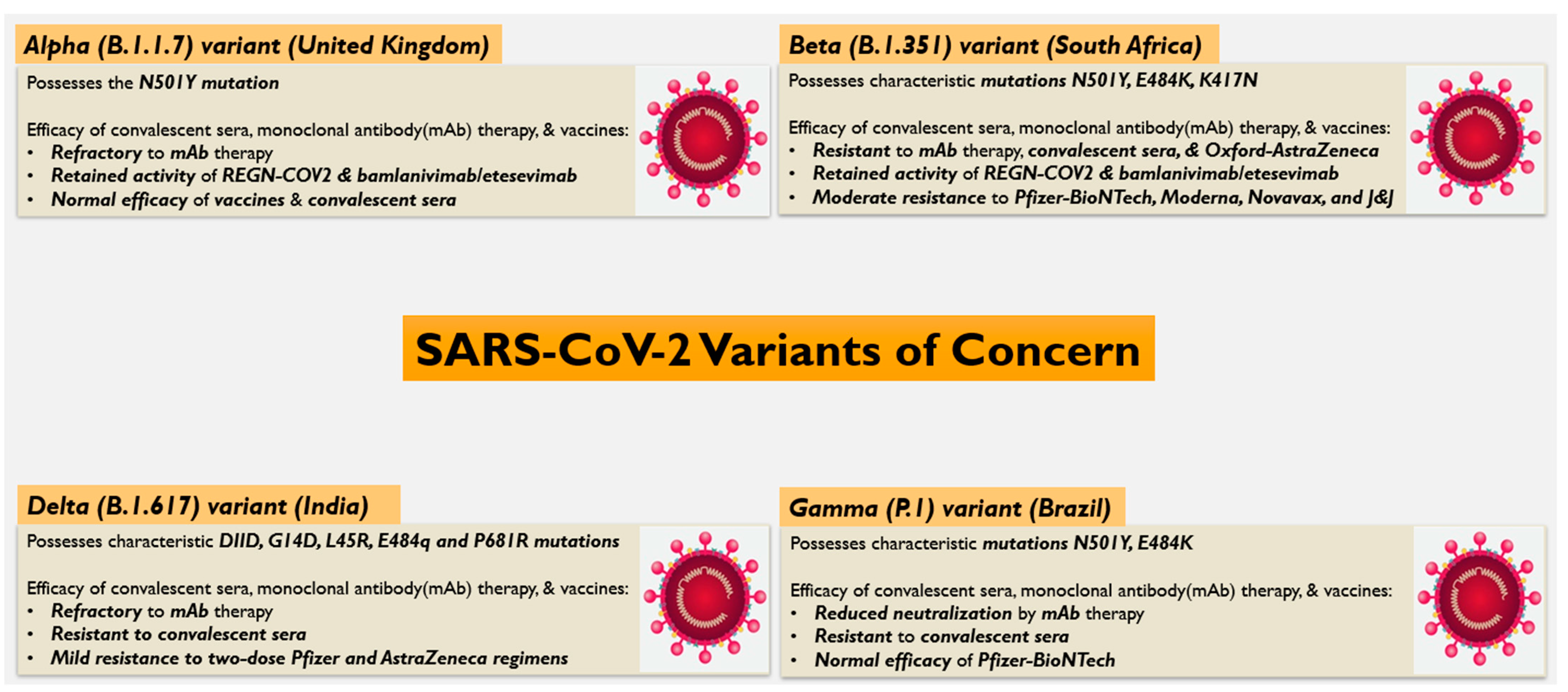 Vaccines 09 00914 g001