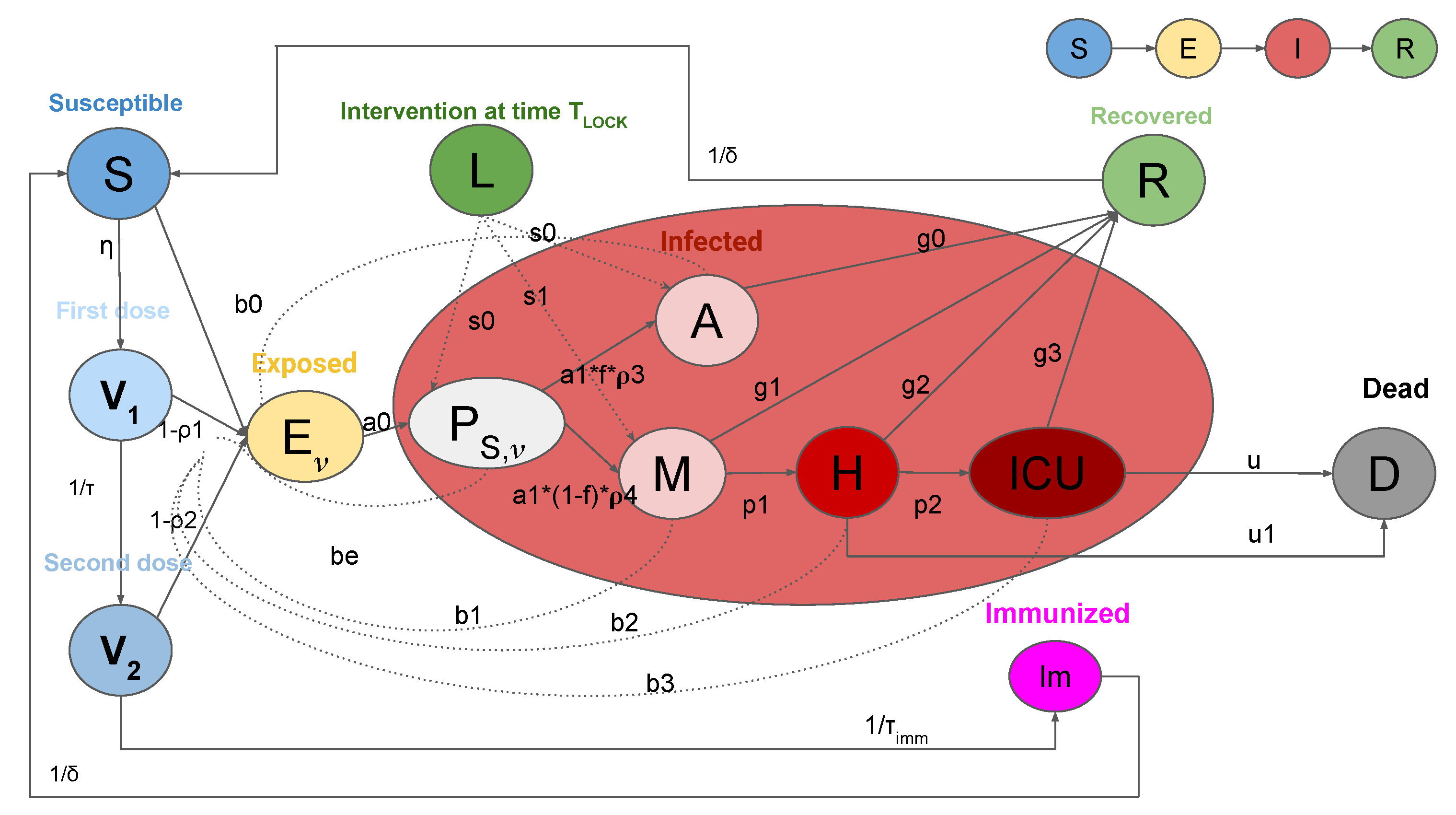 Vaccines 09 00915 g001