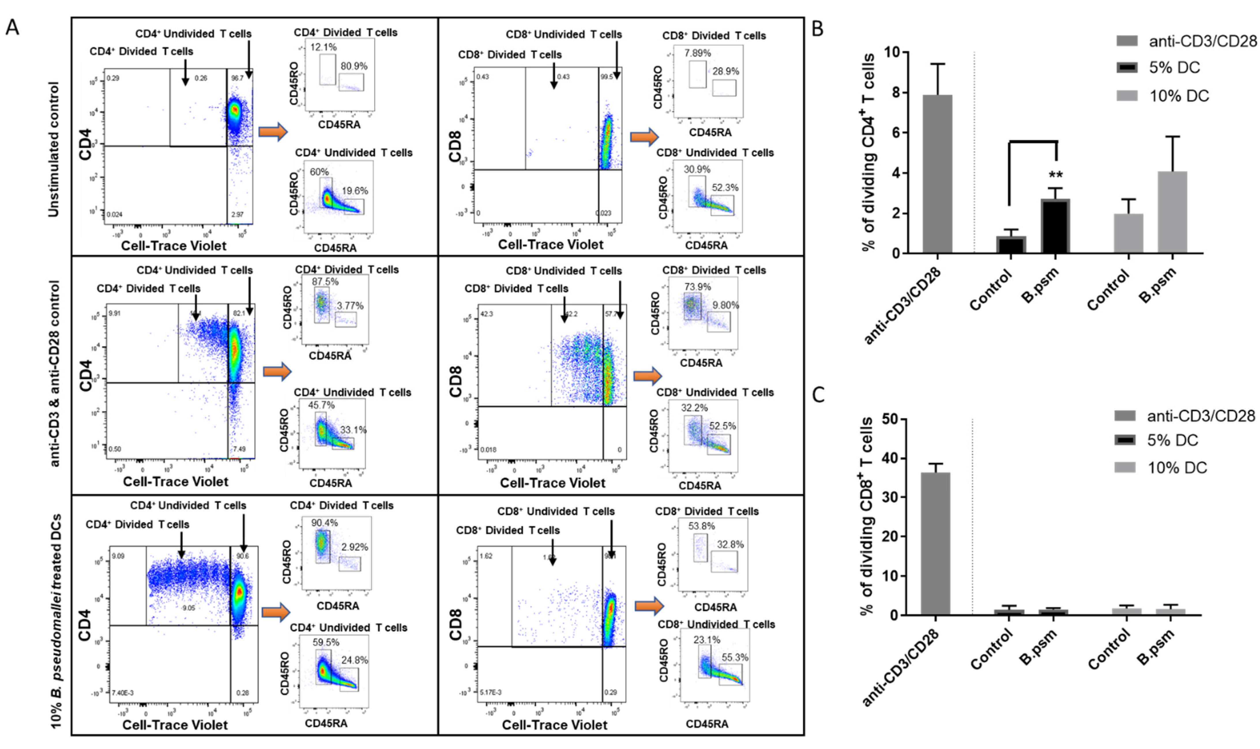 Vaccines 09 00929 g005
