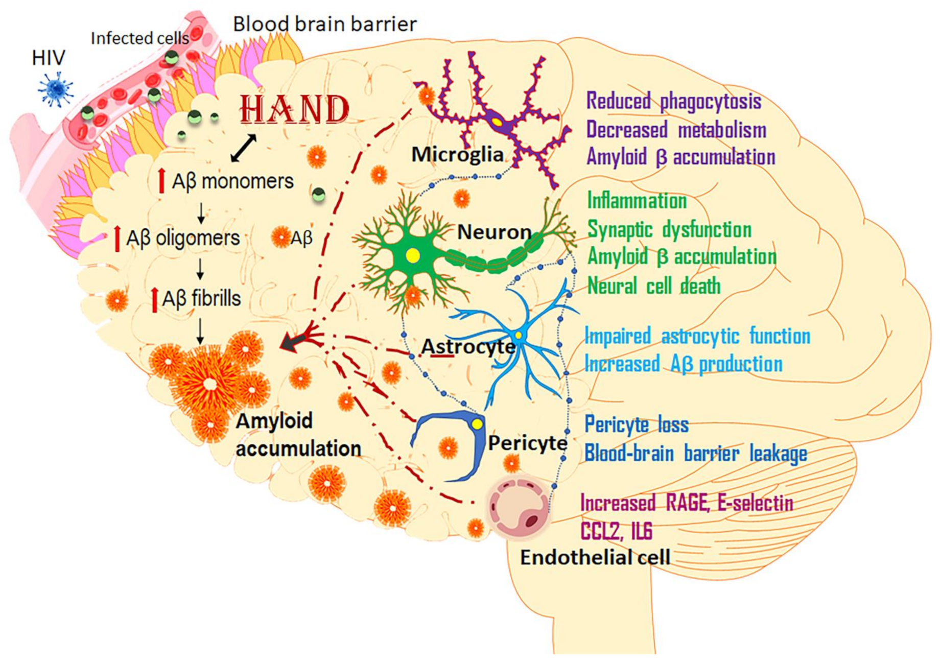 Vaccines 09 00930 g002