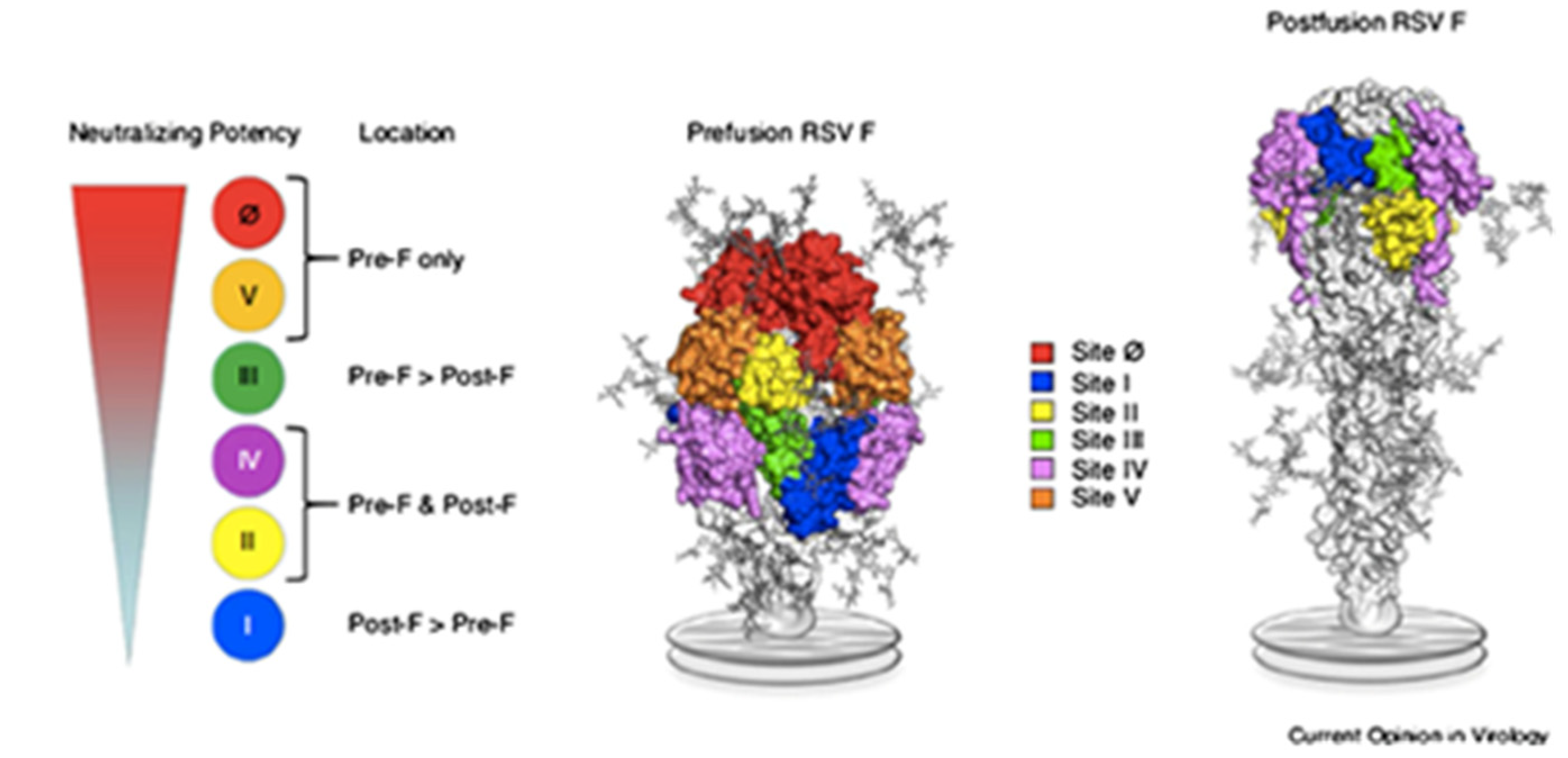 Vaccines 09 00961 g001