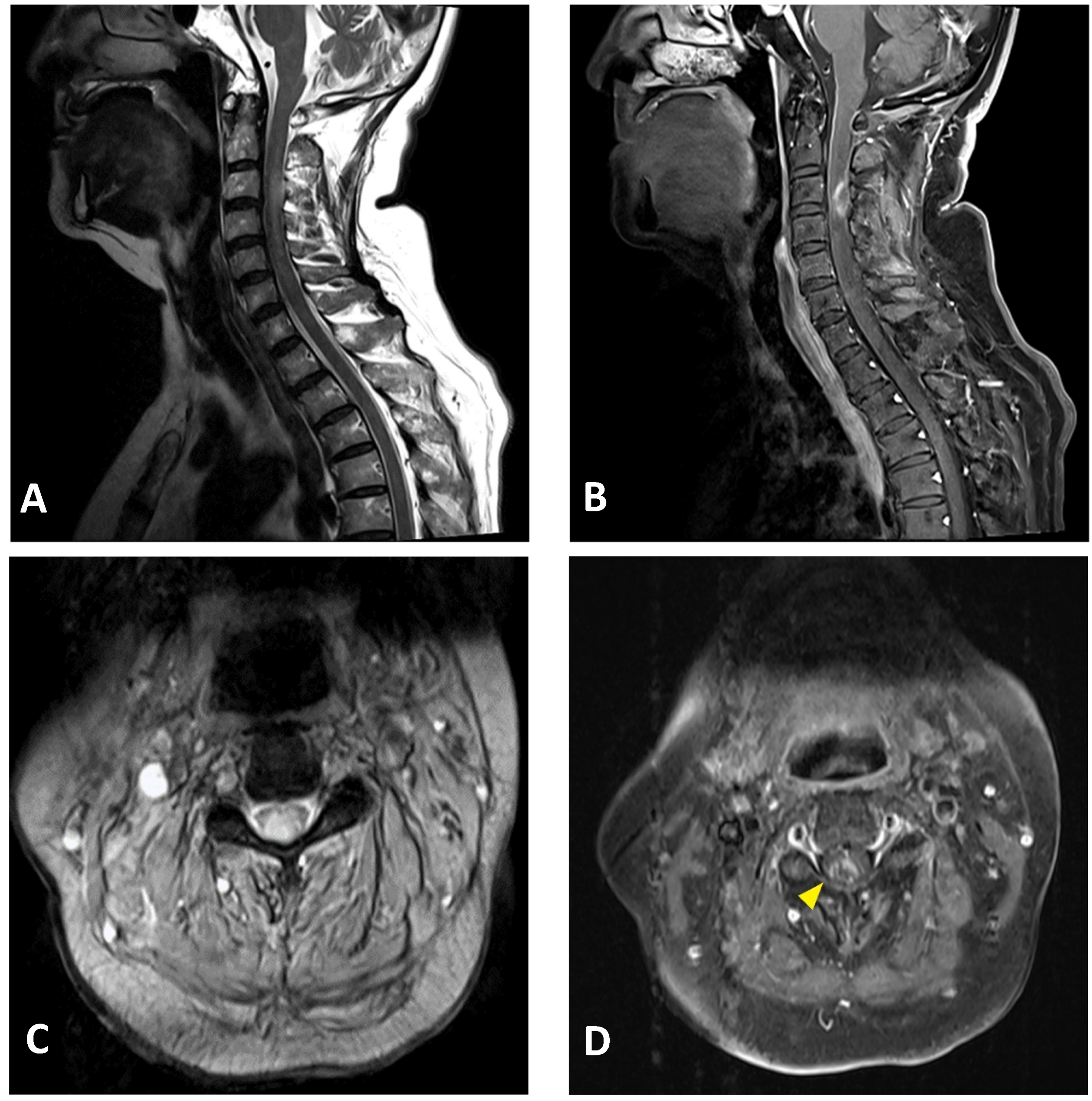 Vaccines 09 01008 g002
