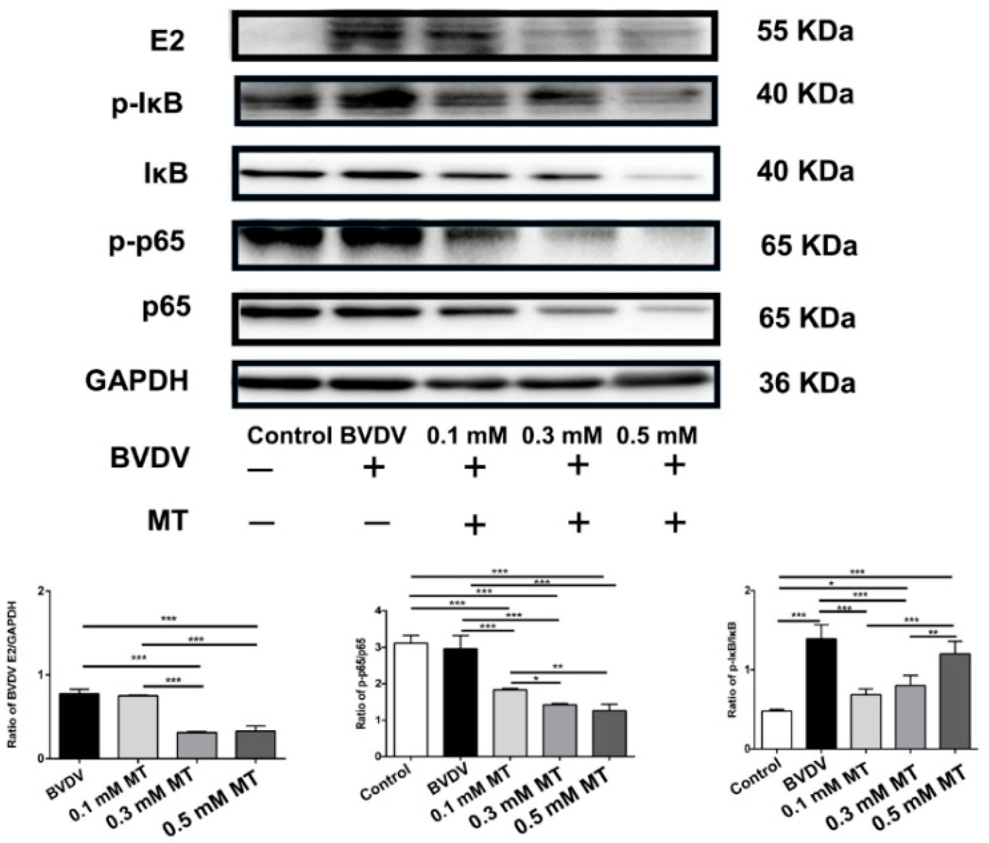 Vaccines 09 01039 g001