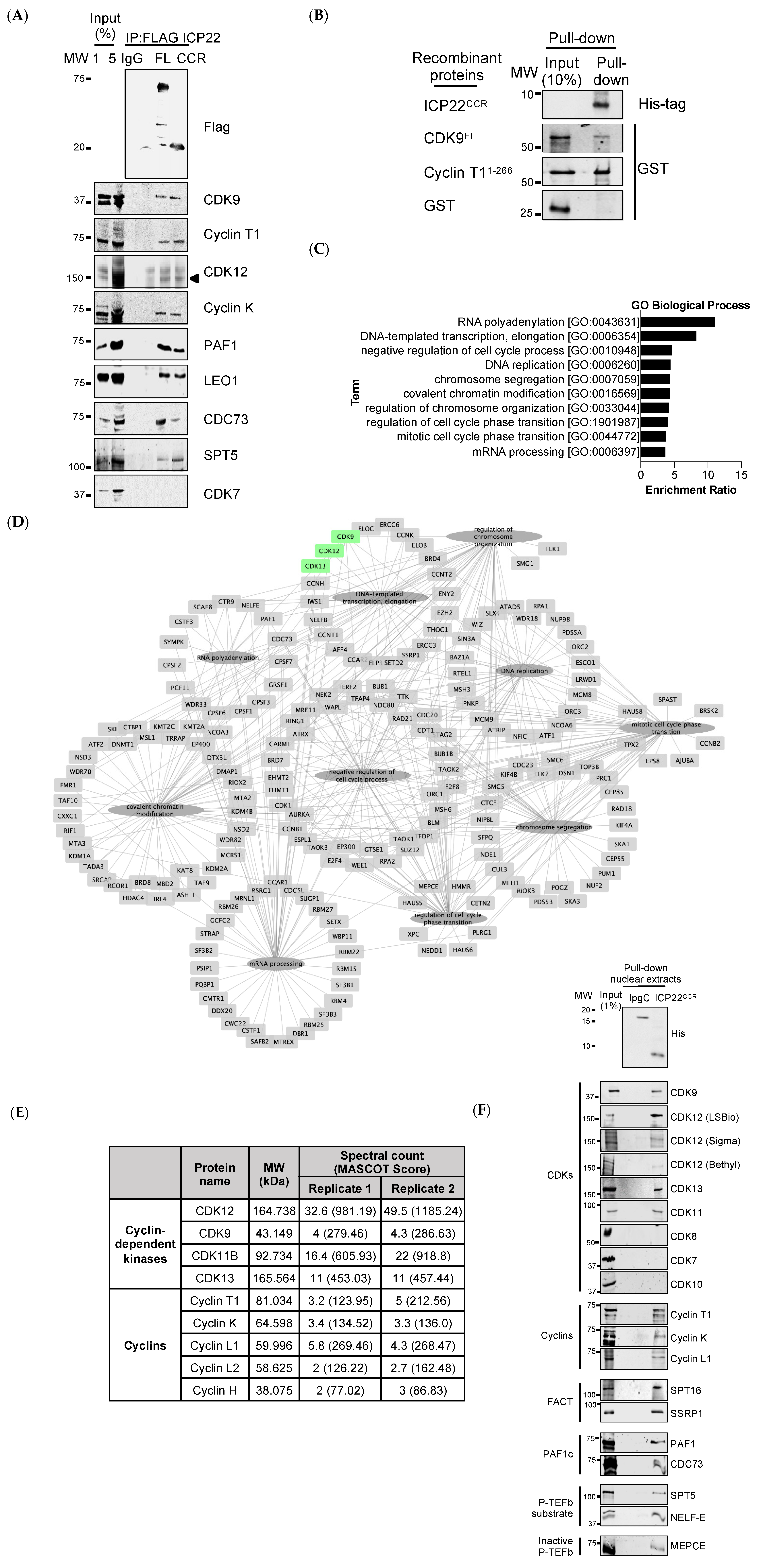 Vaccines 09 01054 g002