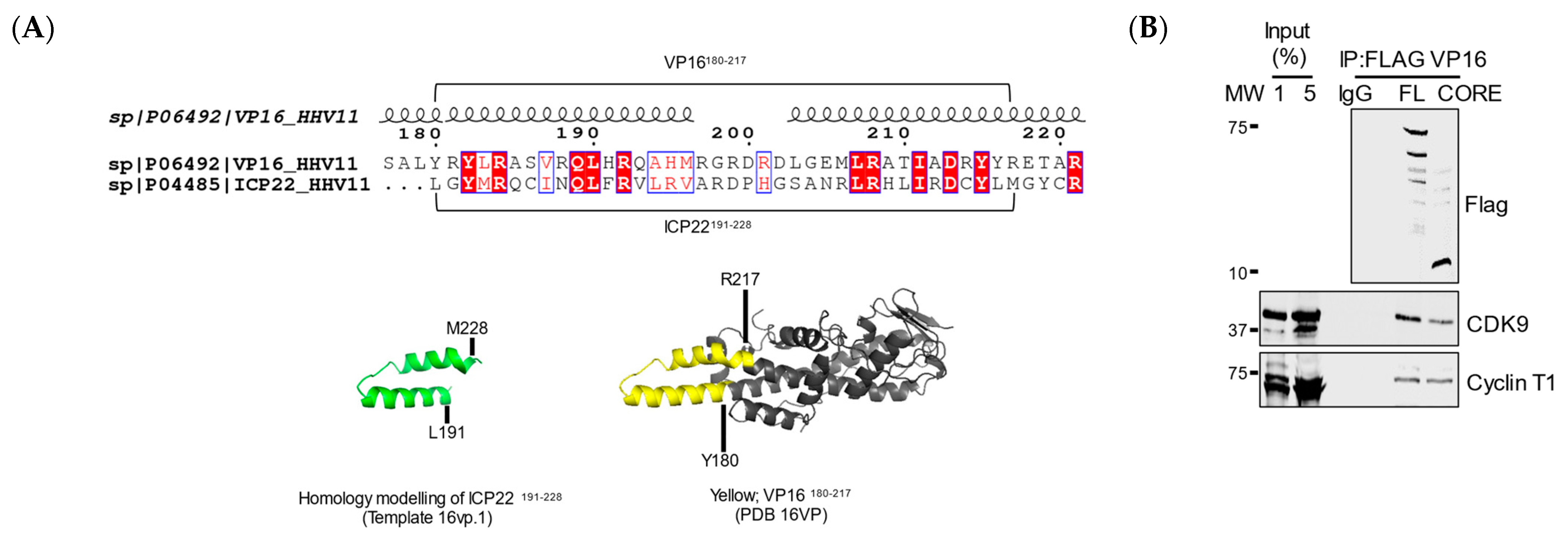 Vaccines 09 01054 g004a