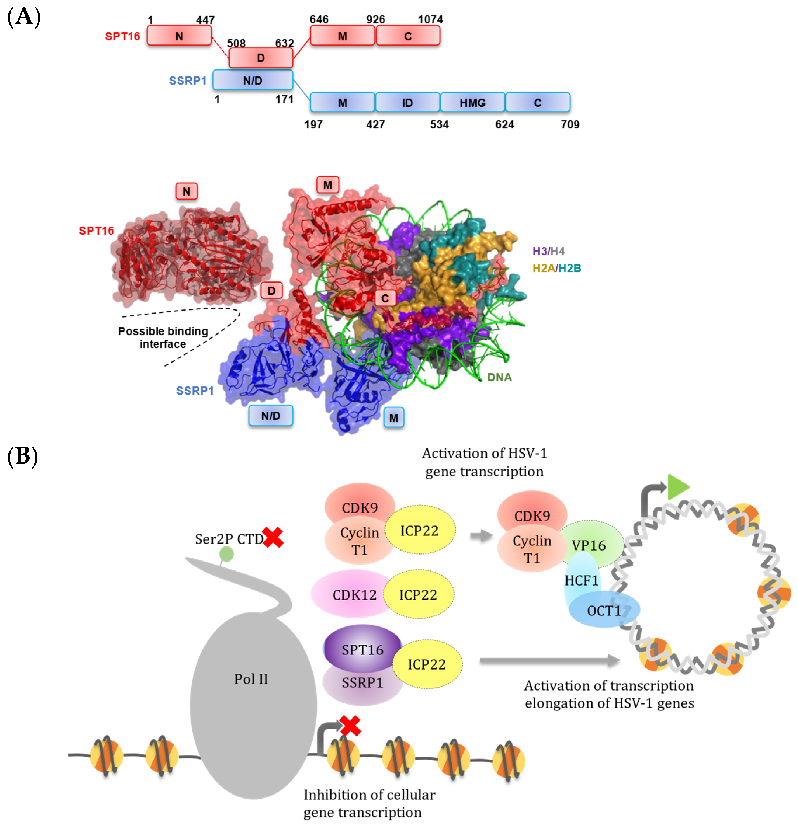Vaccines 09 01054 g005