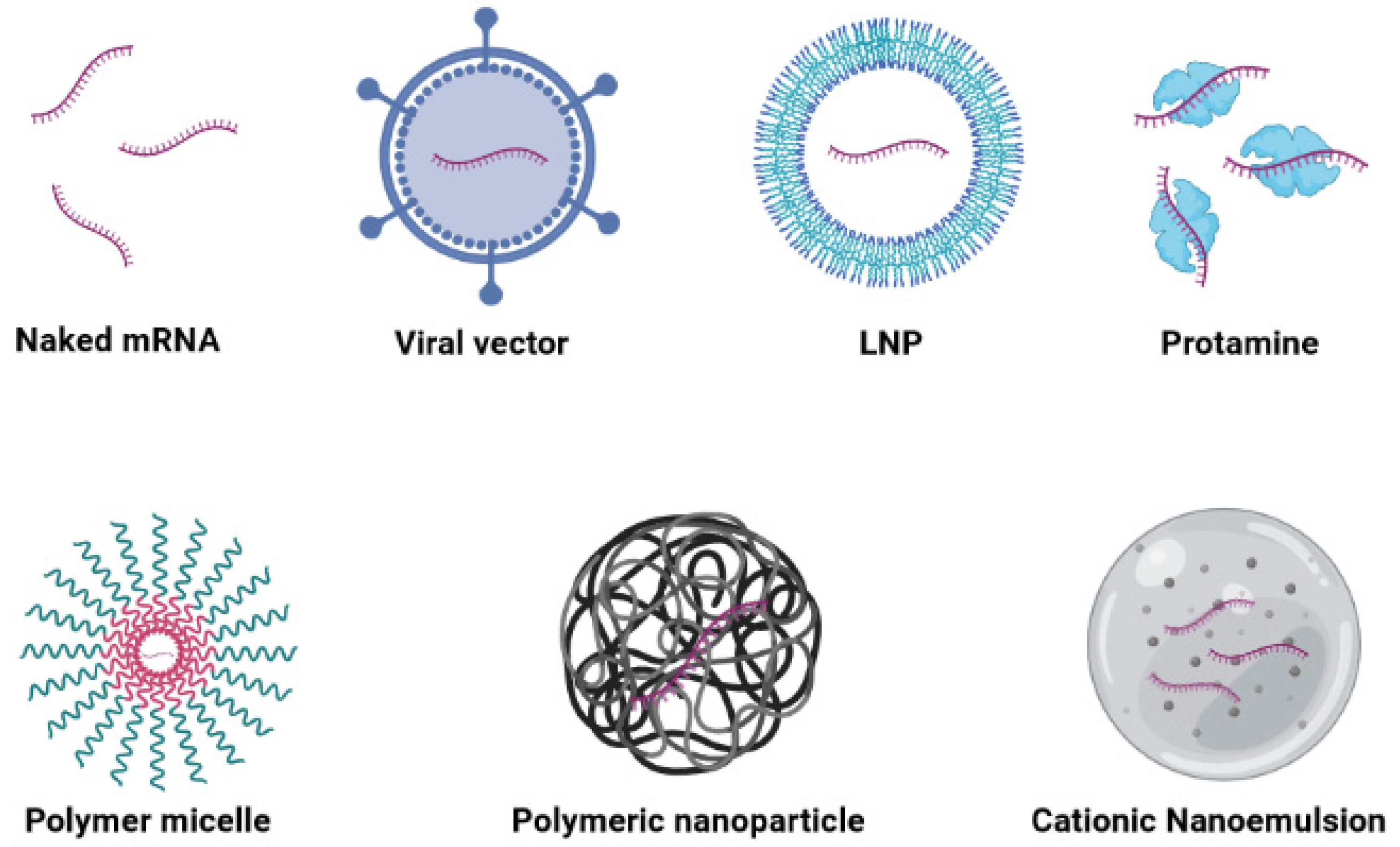 Vaccines 09 01060 g003
