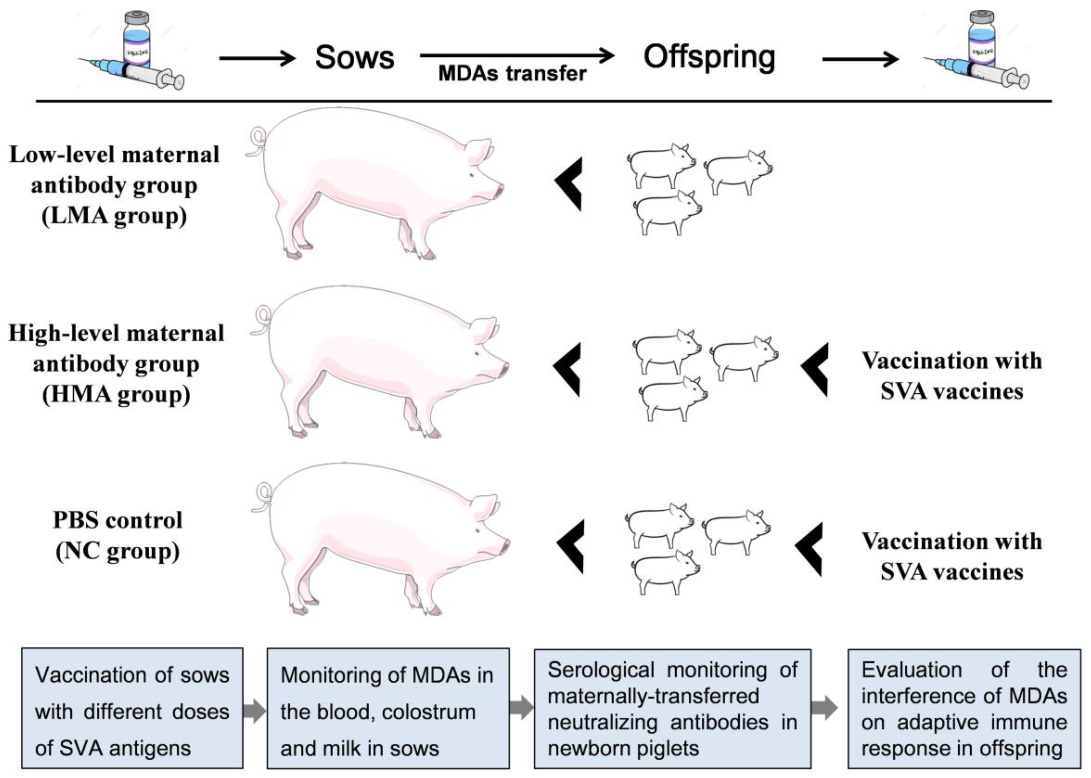 Vaccines 09 01066 g001