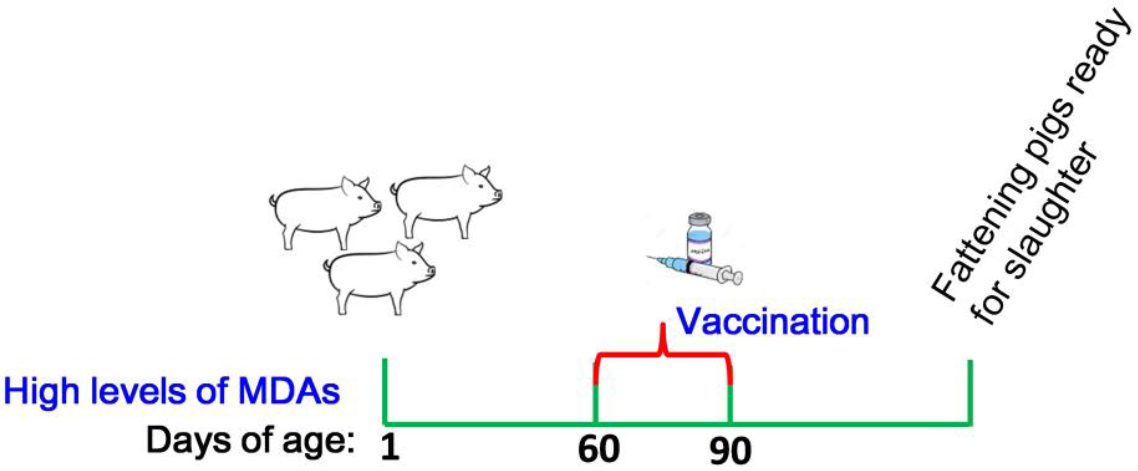 Vaccines 09 01066 g007