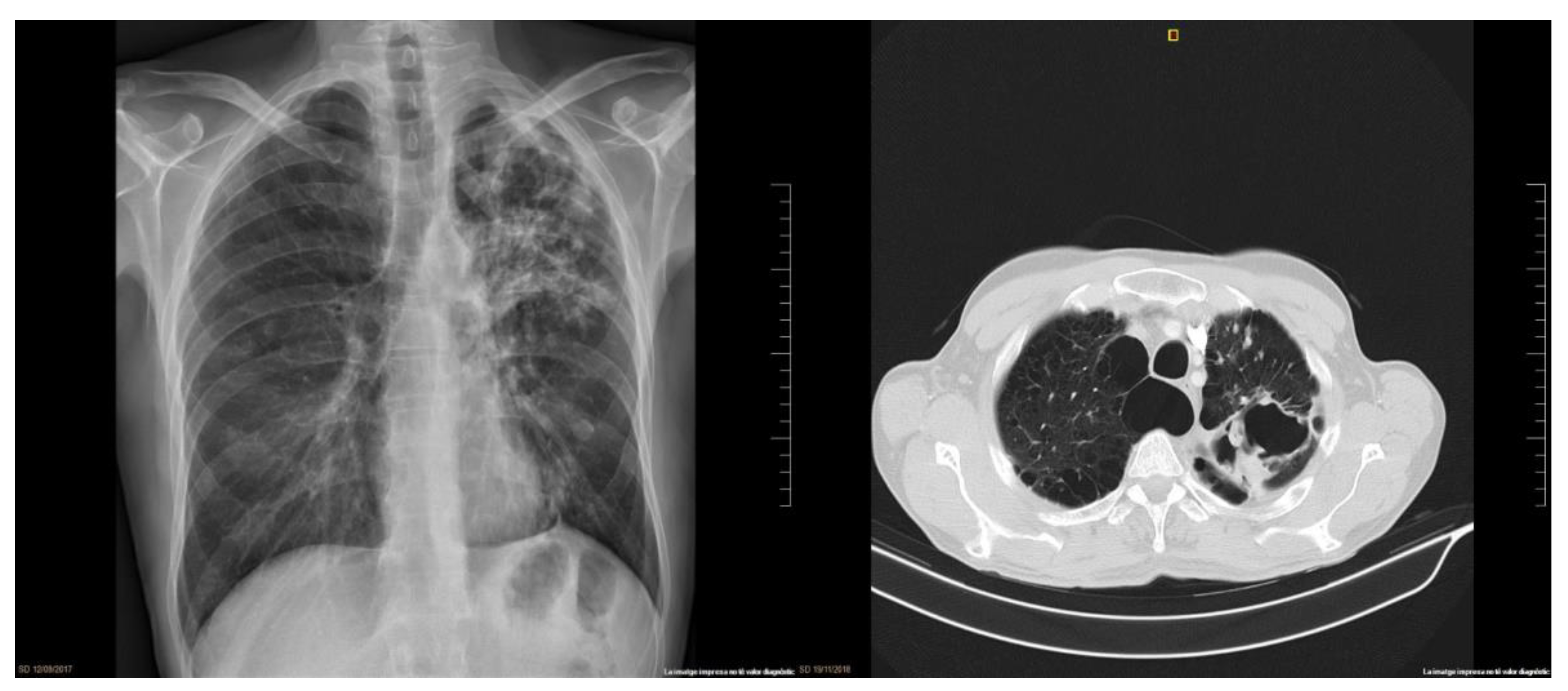 Vaccines 09 01103 g001