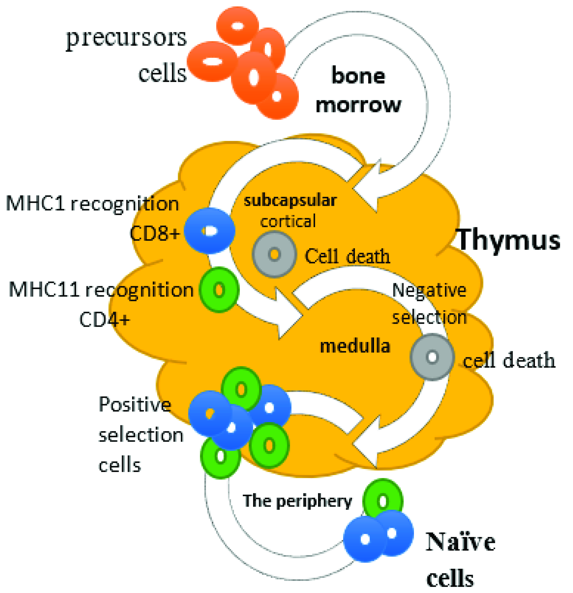 Vaccines 09 01119 g001