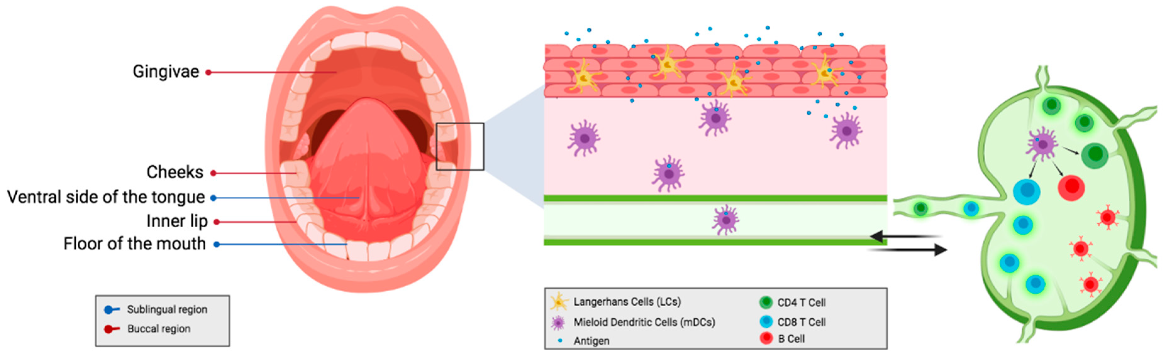 Vaccines 09 01177 g001