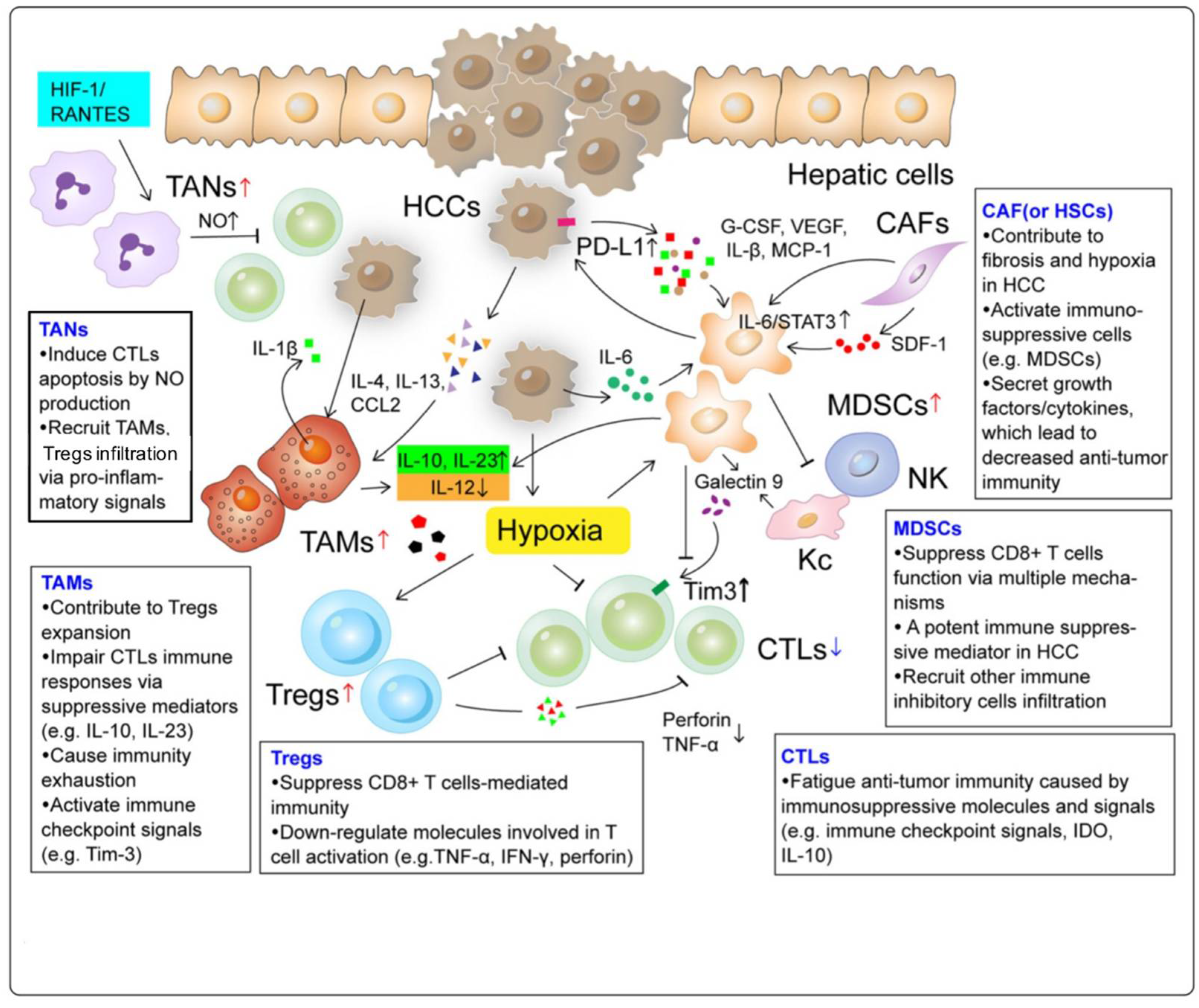 Vaccines 09 01184 g001