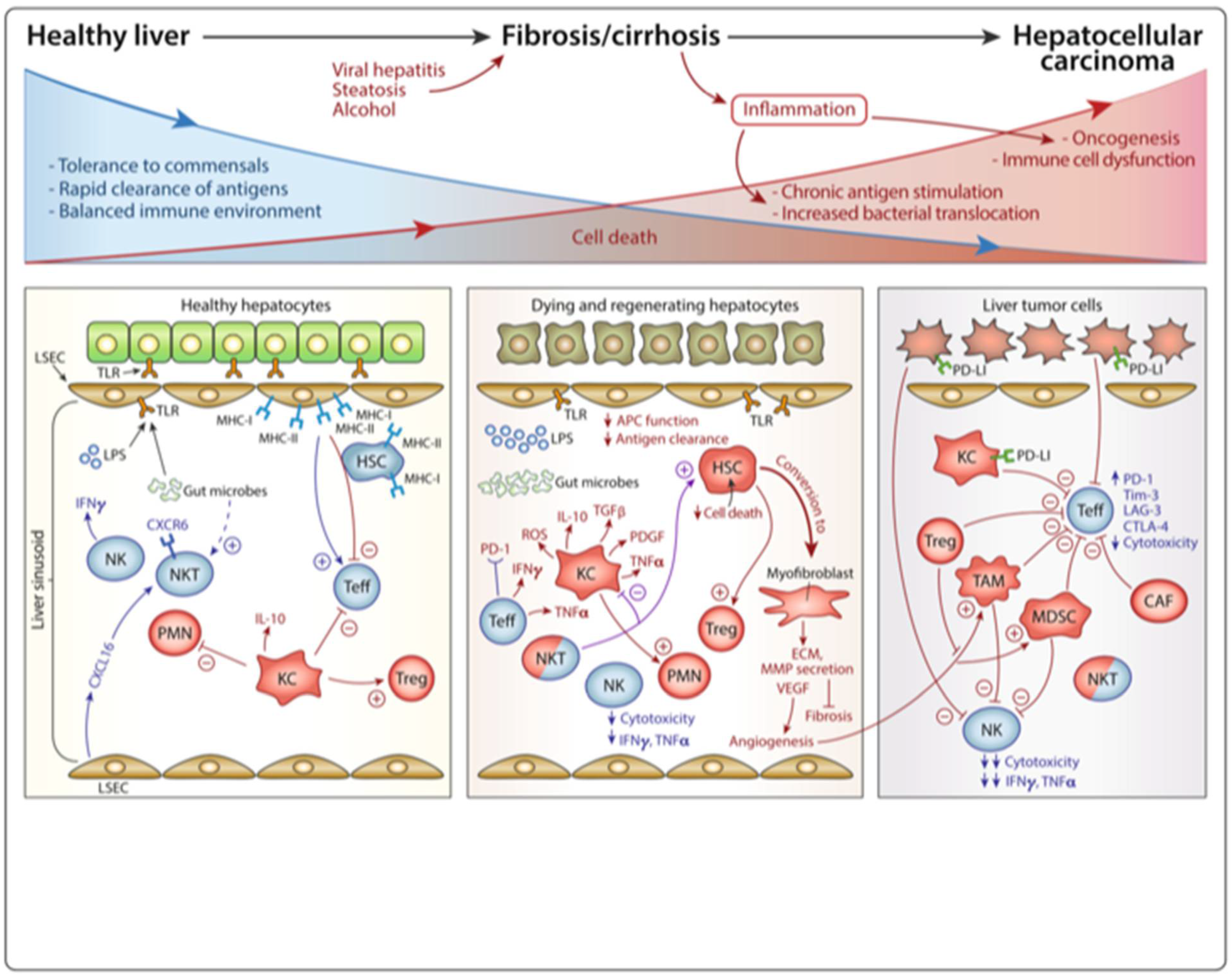 Vaccines 09 01184 g002